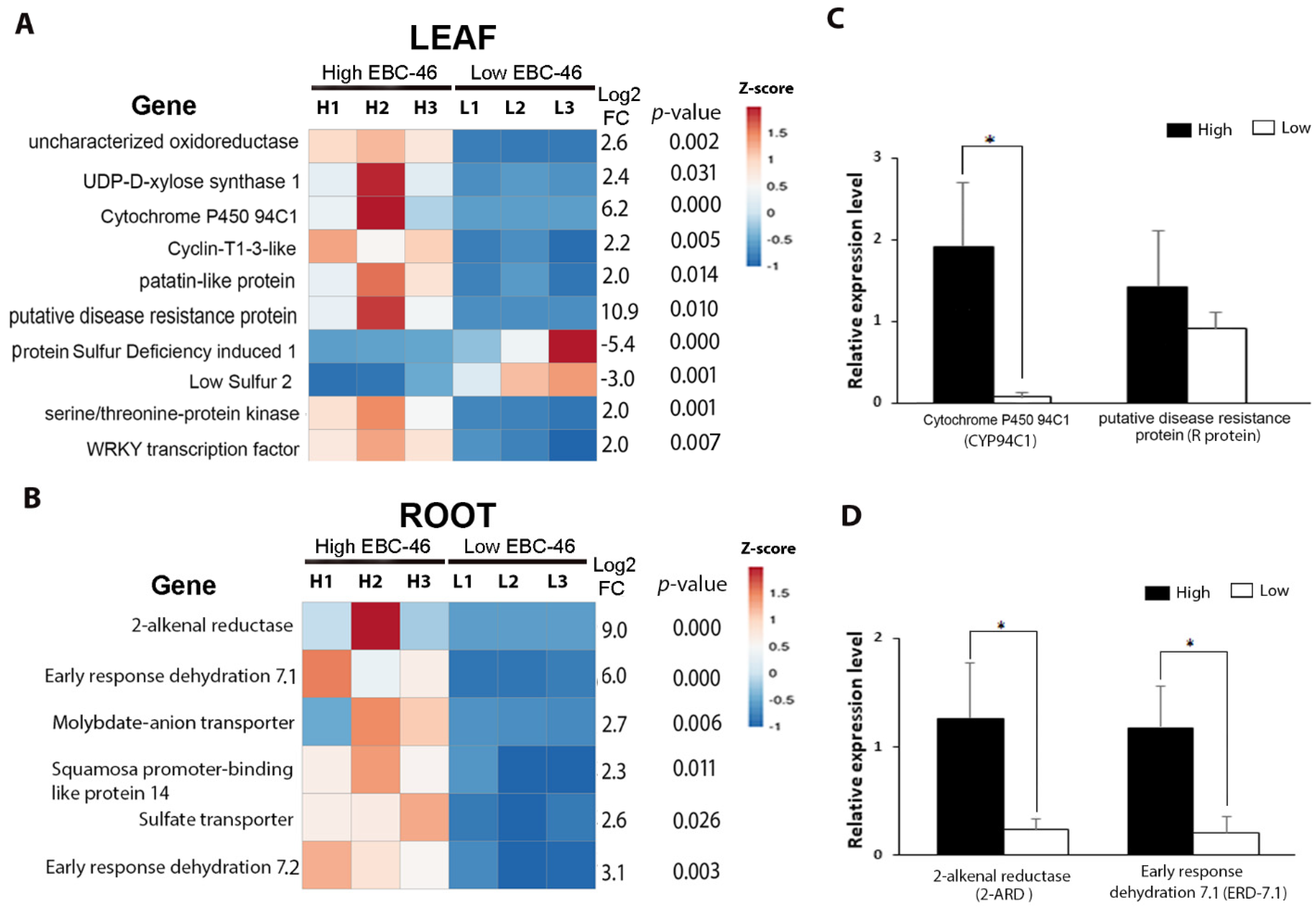 Molecules 27 03980 g003