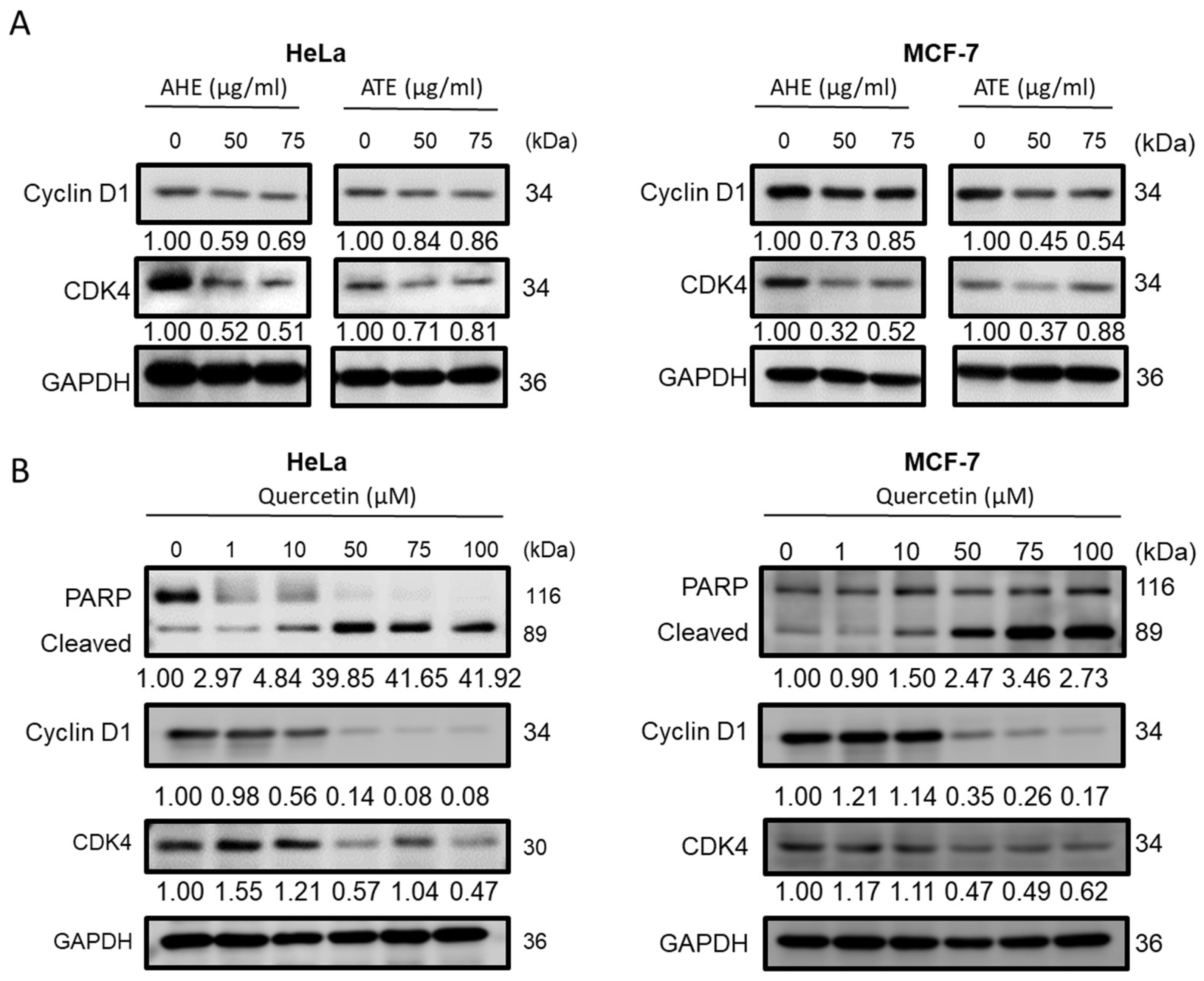 Molecules 27 03984 g004