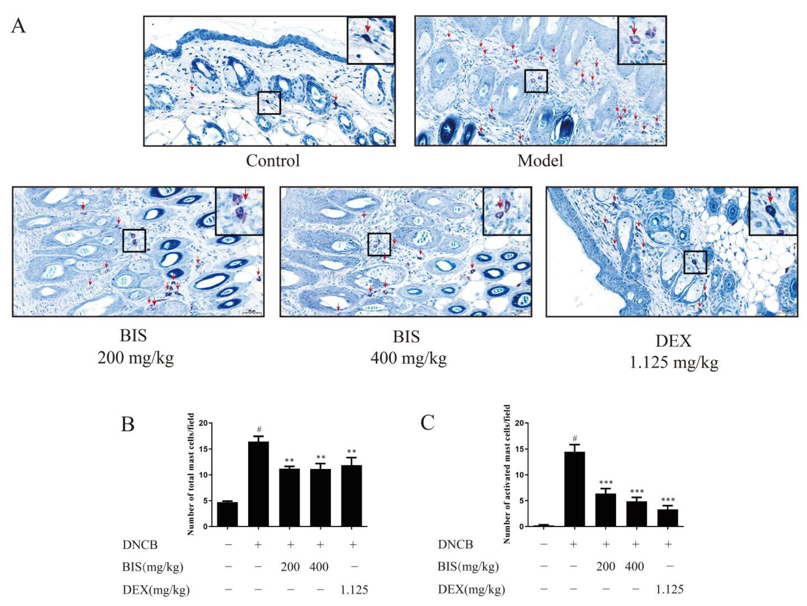 Molecules 27 03985 g004
