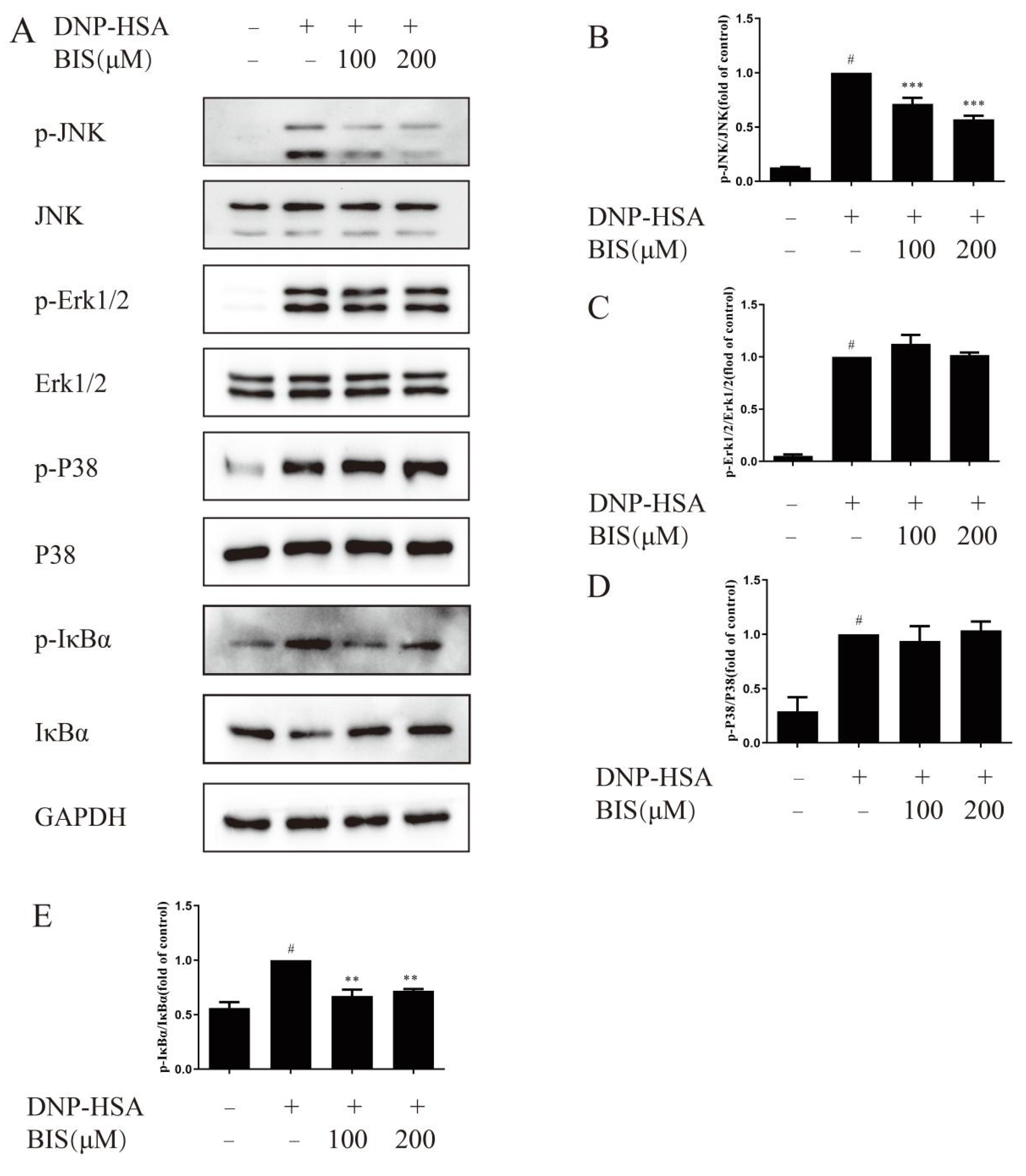Molecules 27 03985 g007