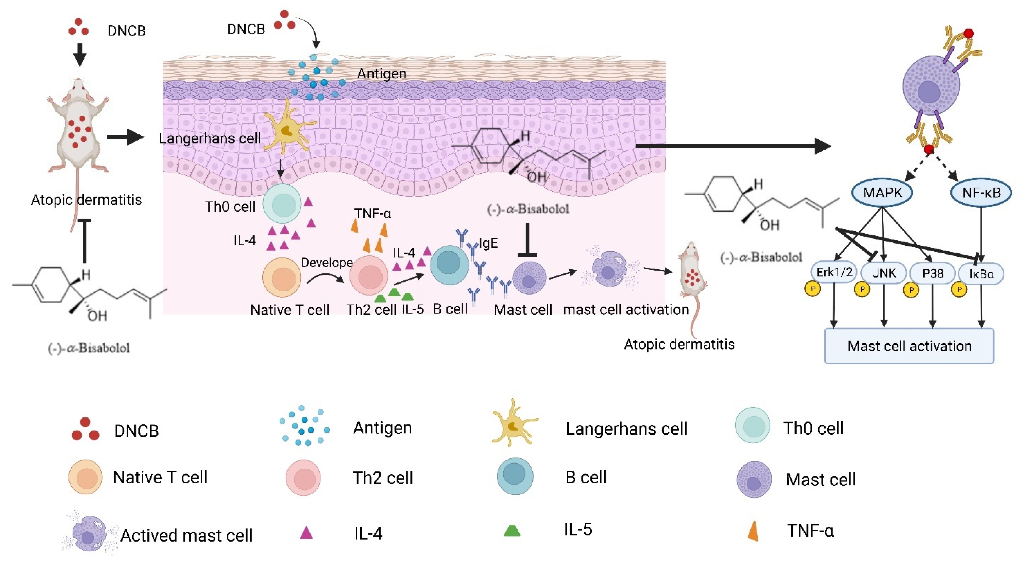 Molecules 27 03985 g008