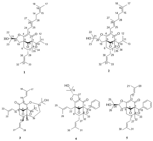 Molecules 27 03986 g001