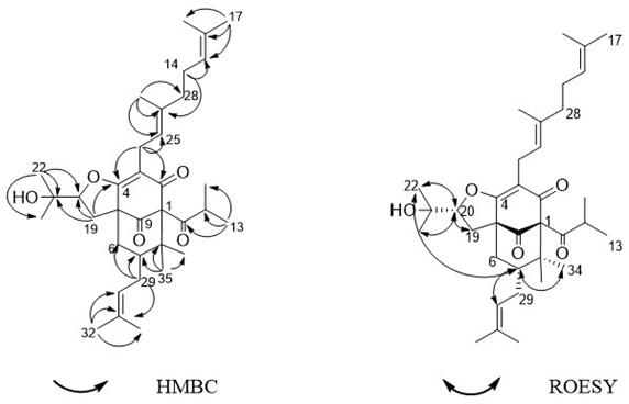 Molecules 27 03986 g002