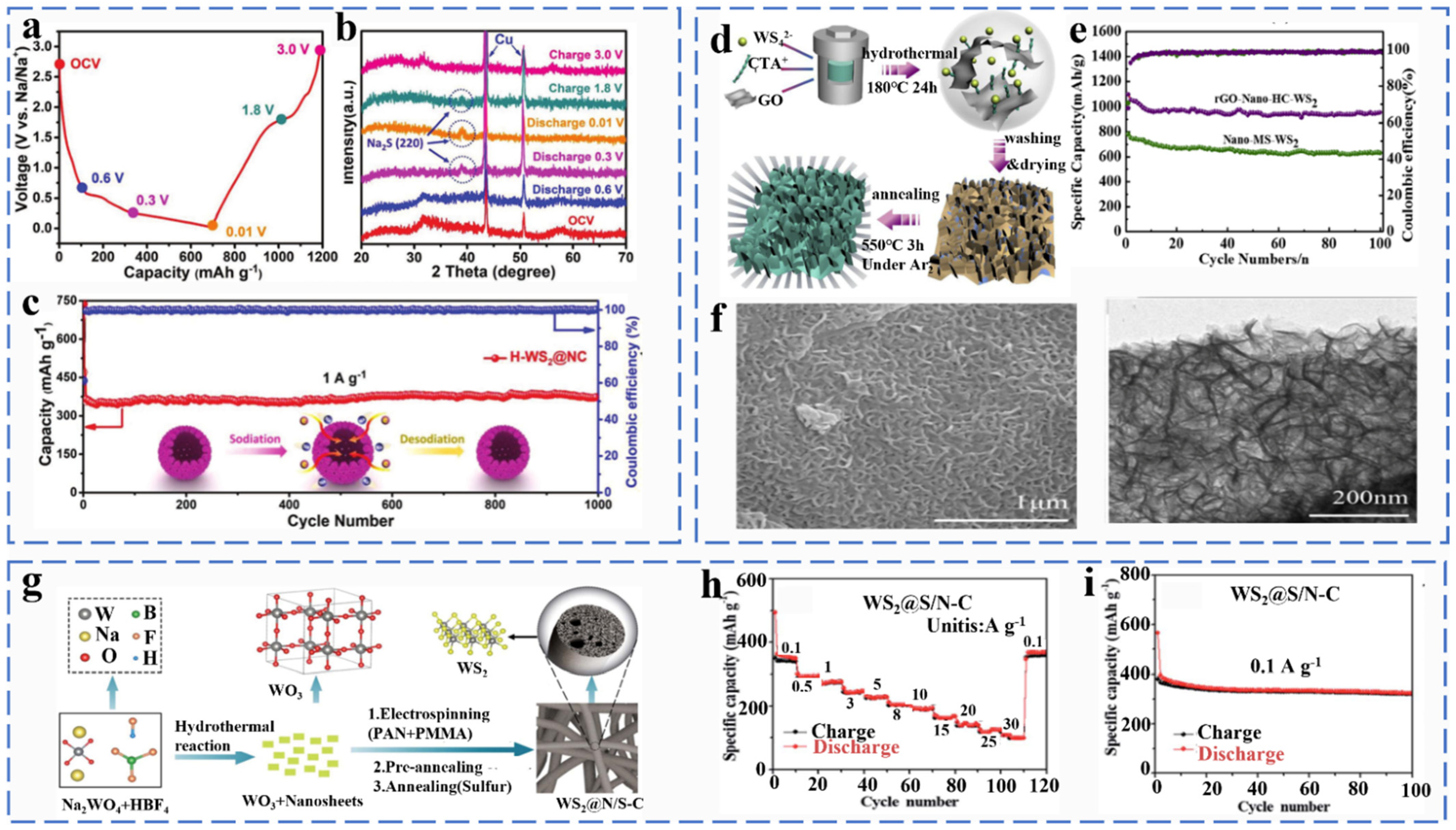 Molecules 27 03989 g013