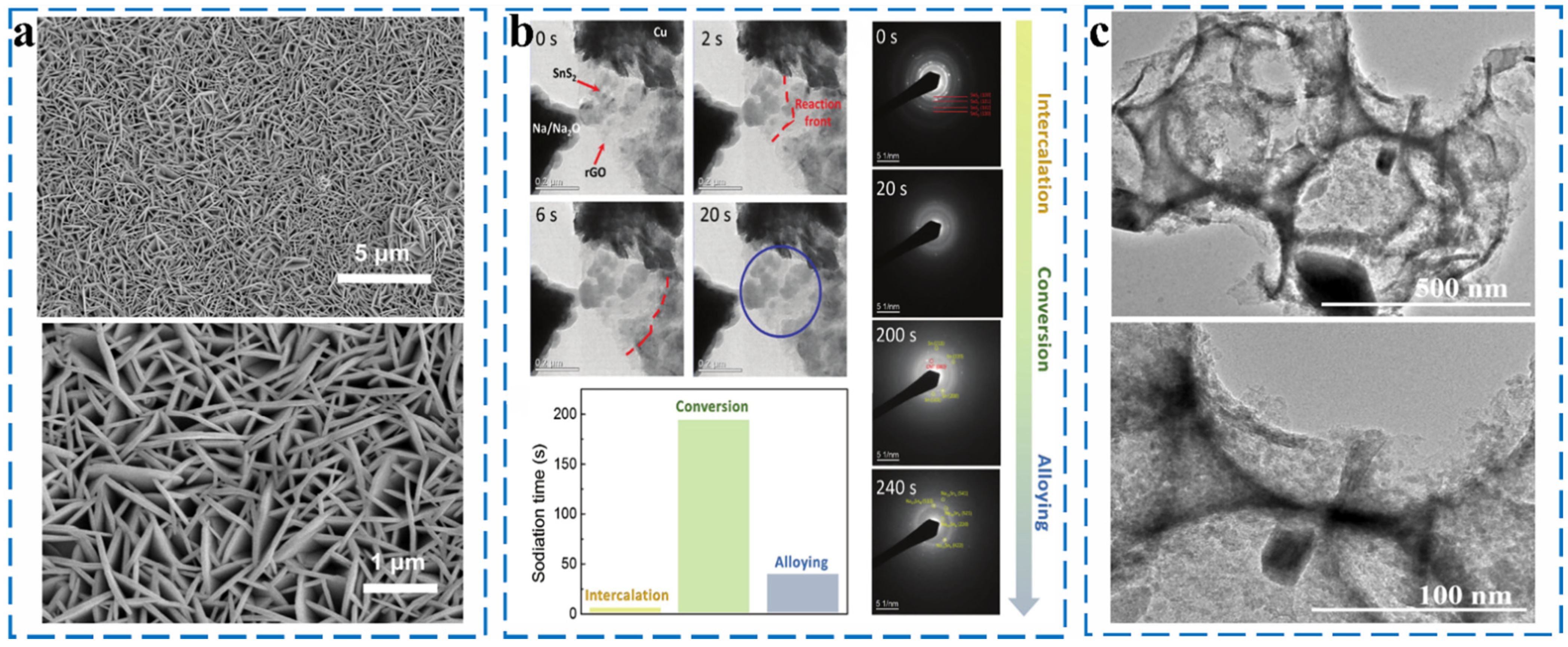 Molecules 27 03989 g015