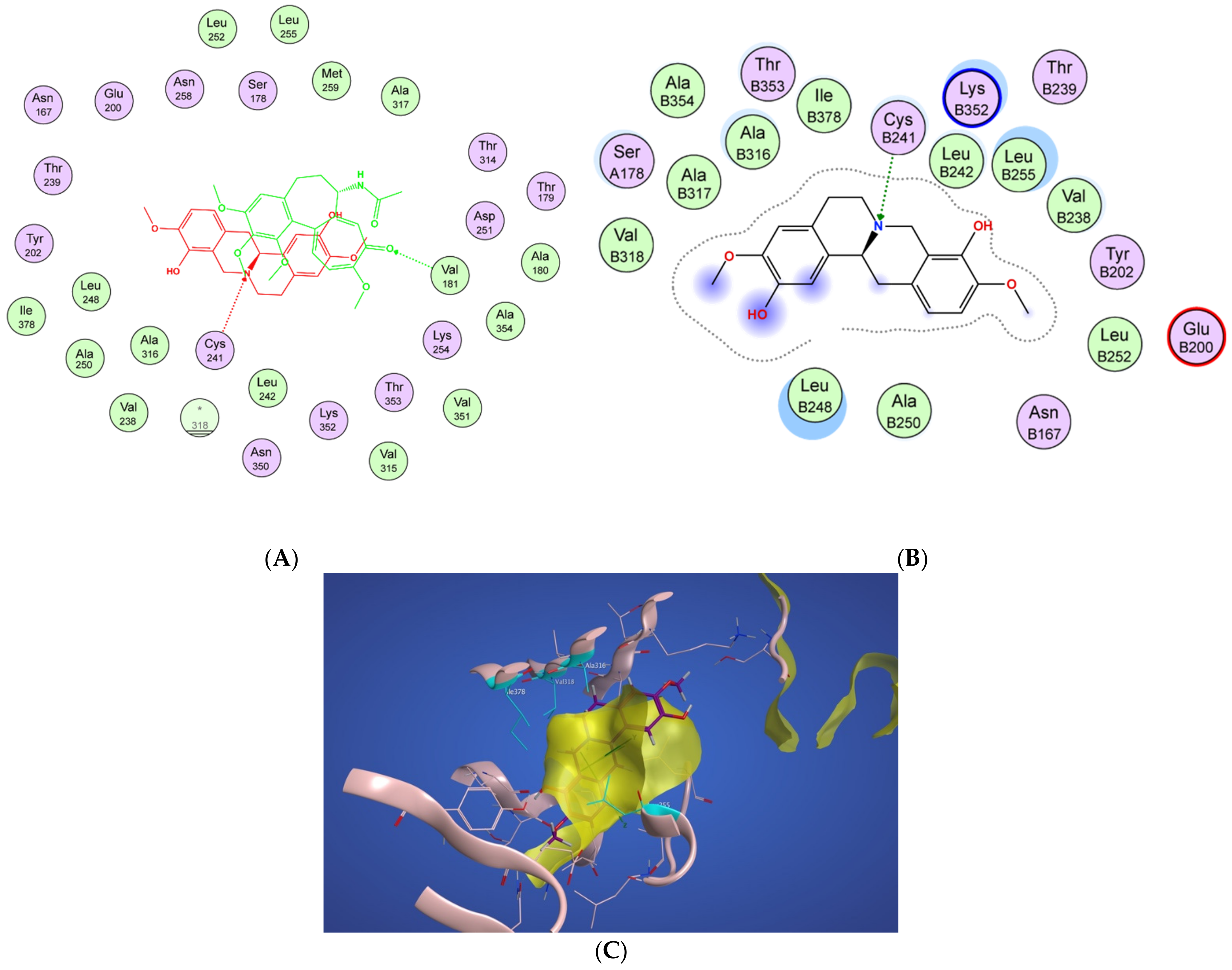 Molecules 27 03991 g004