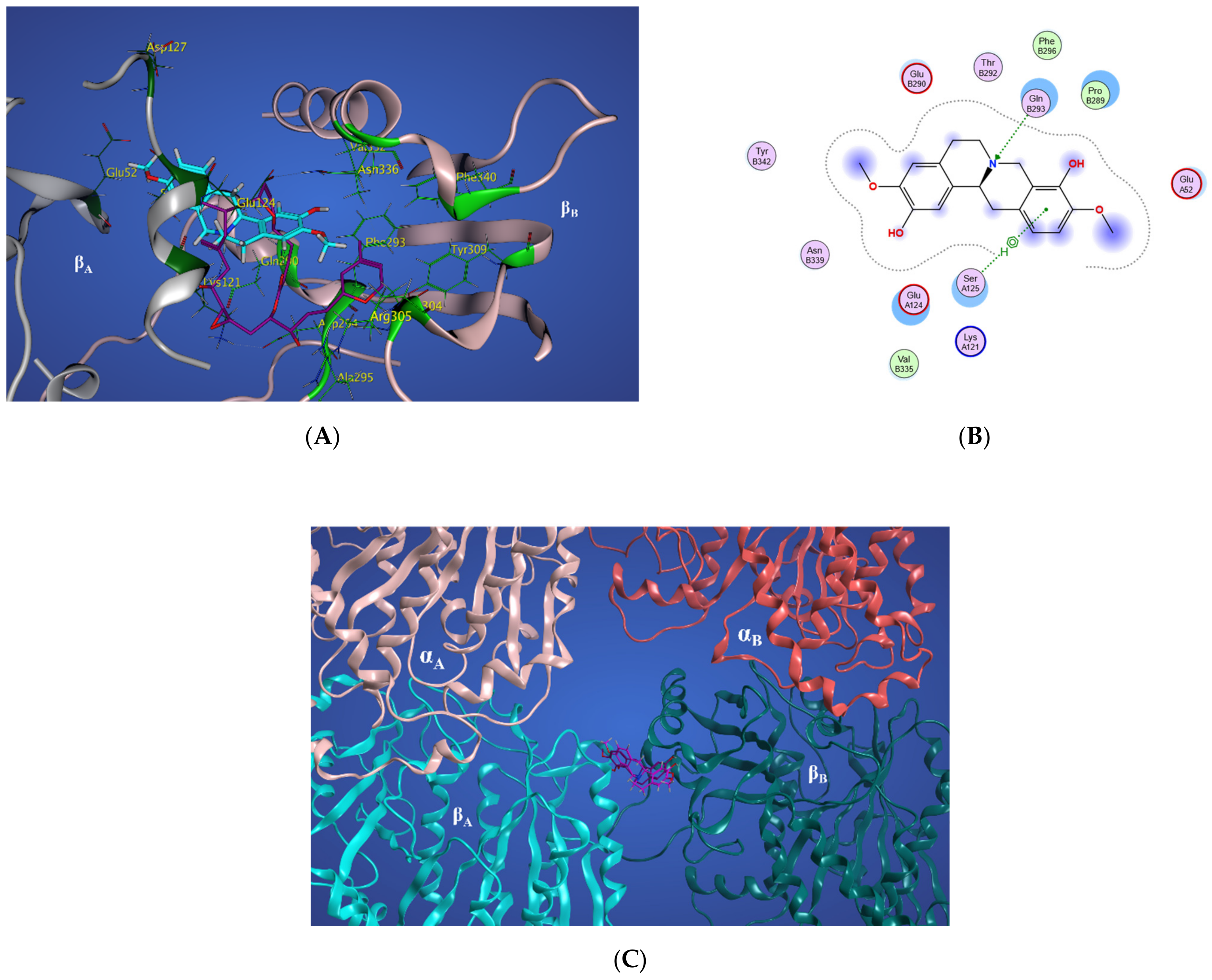 Molecules 27 03991 g016
