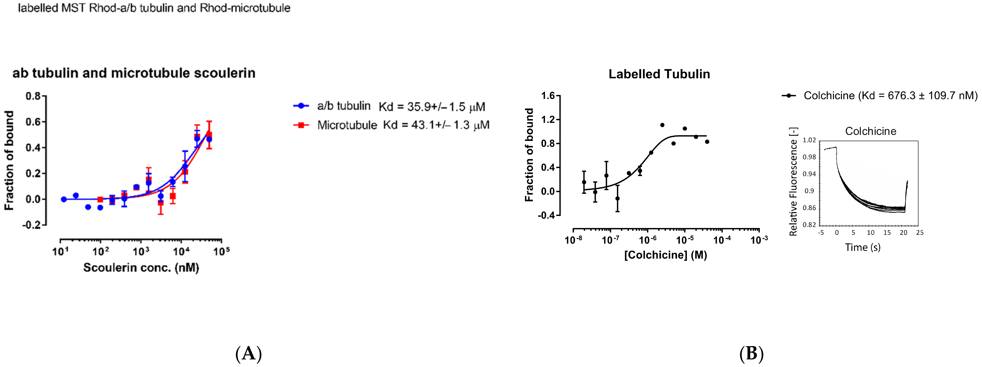 Molecules 27 03991 g017