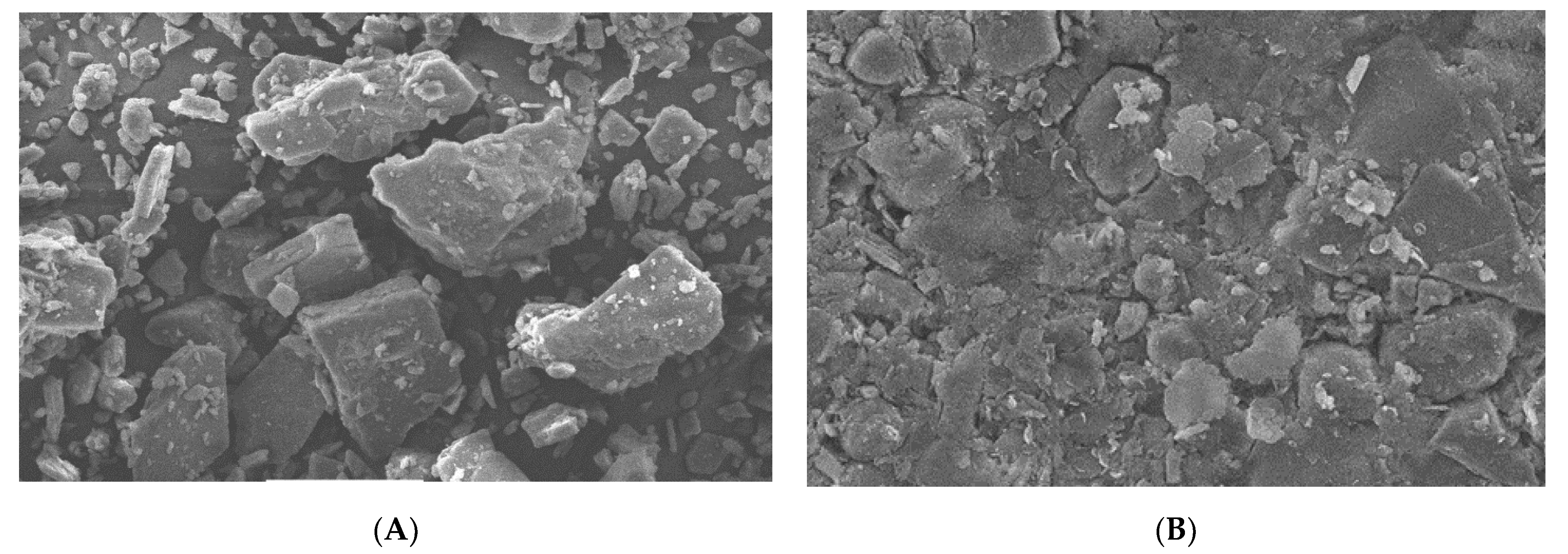 Molecules 27 04005 g008