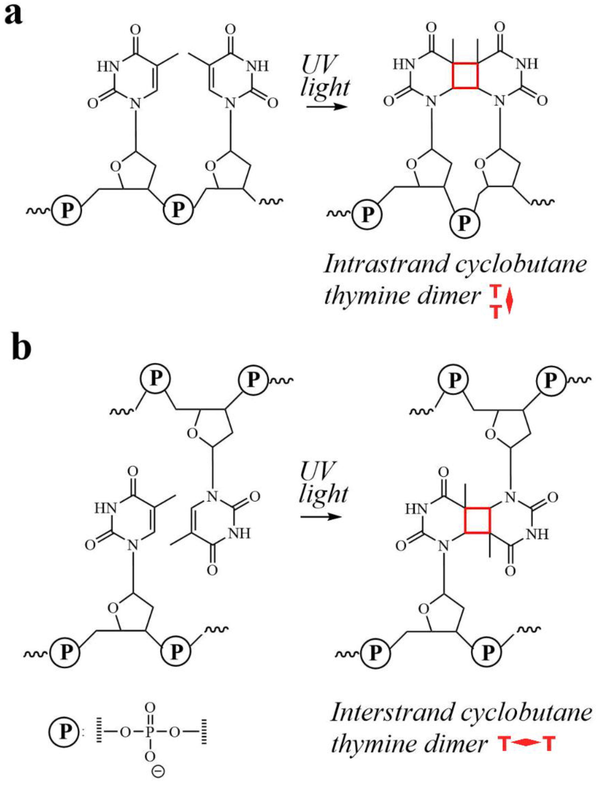 Molecules 27 04006 g001