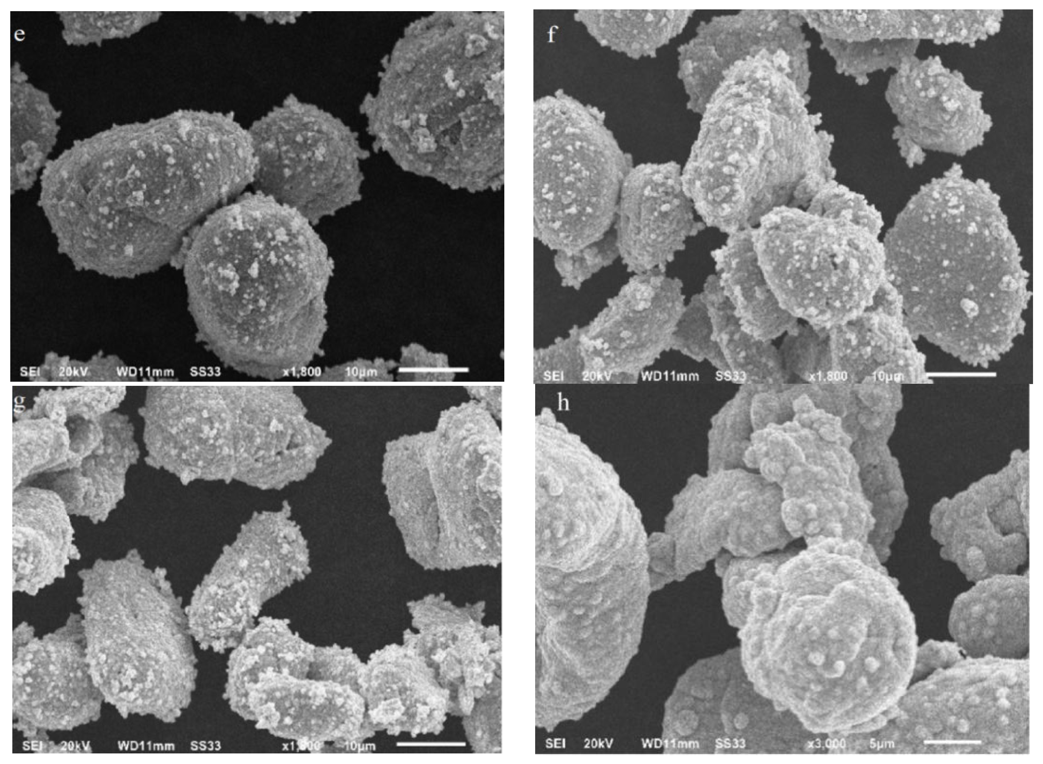 Molecules 27 04007 g005b