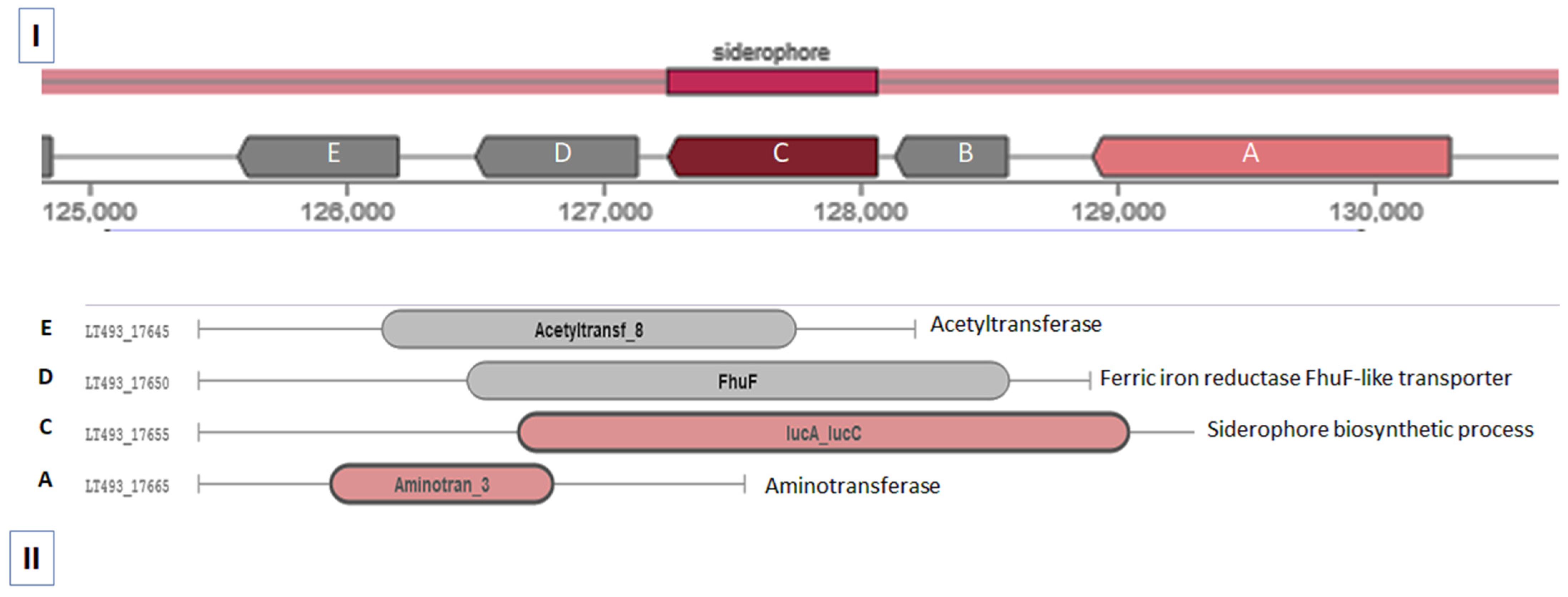 Molecules 27 04010 g002 Molecules 27 04010 g002