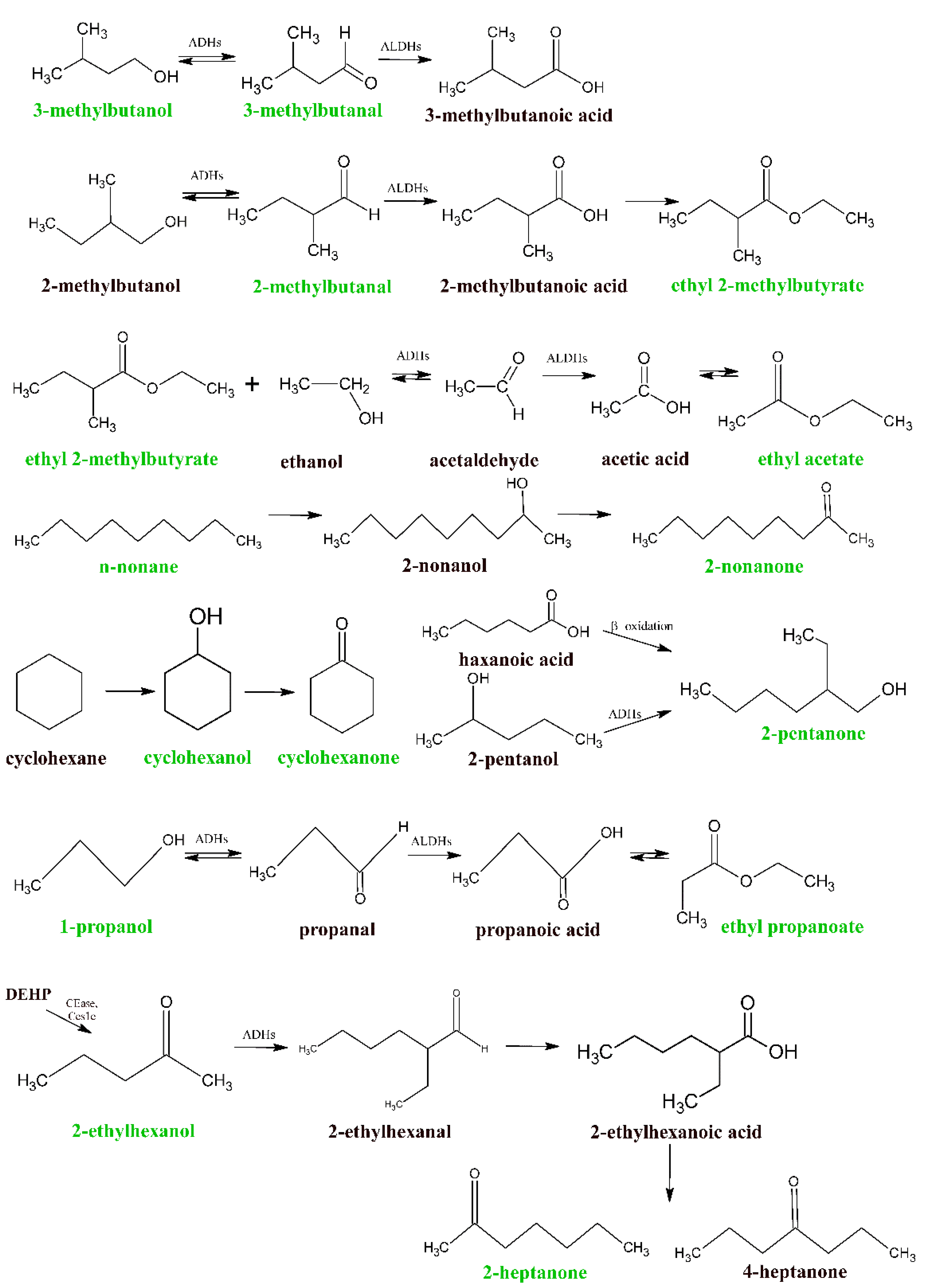 Molecules 27 04012 g003