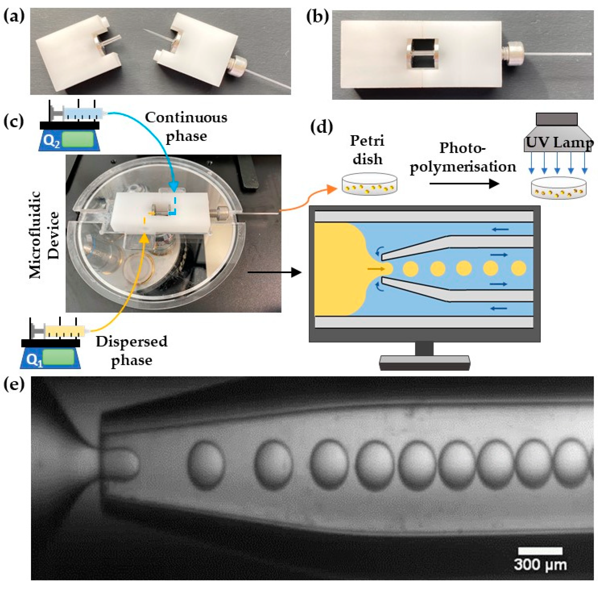Molecules 27 04013 g001