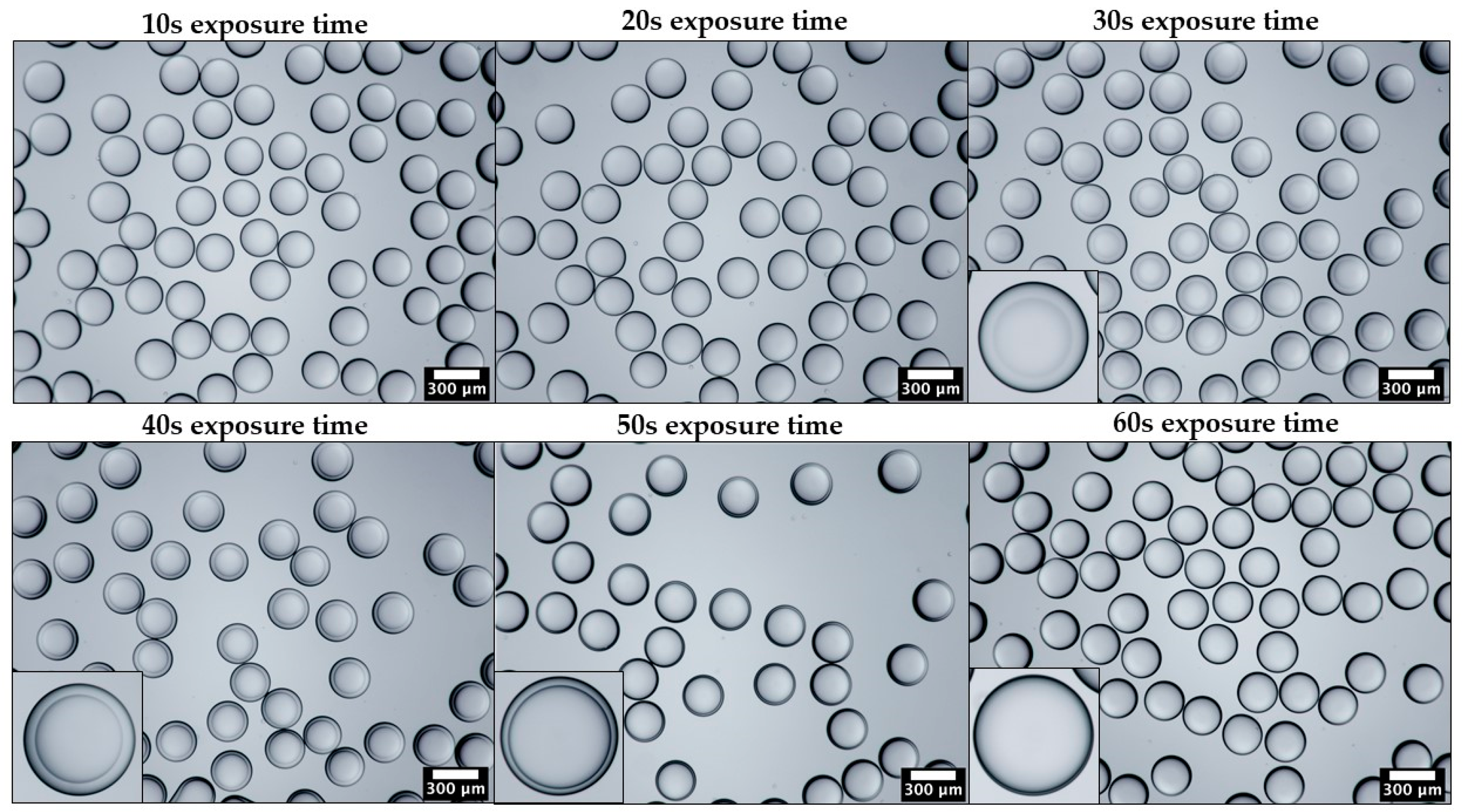 Molecules 27 04013 g003