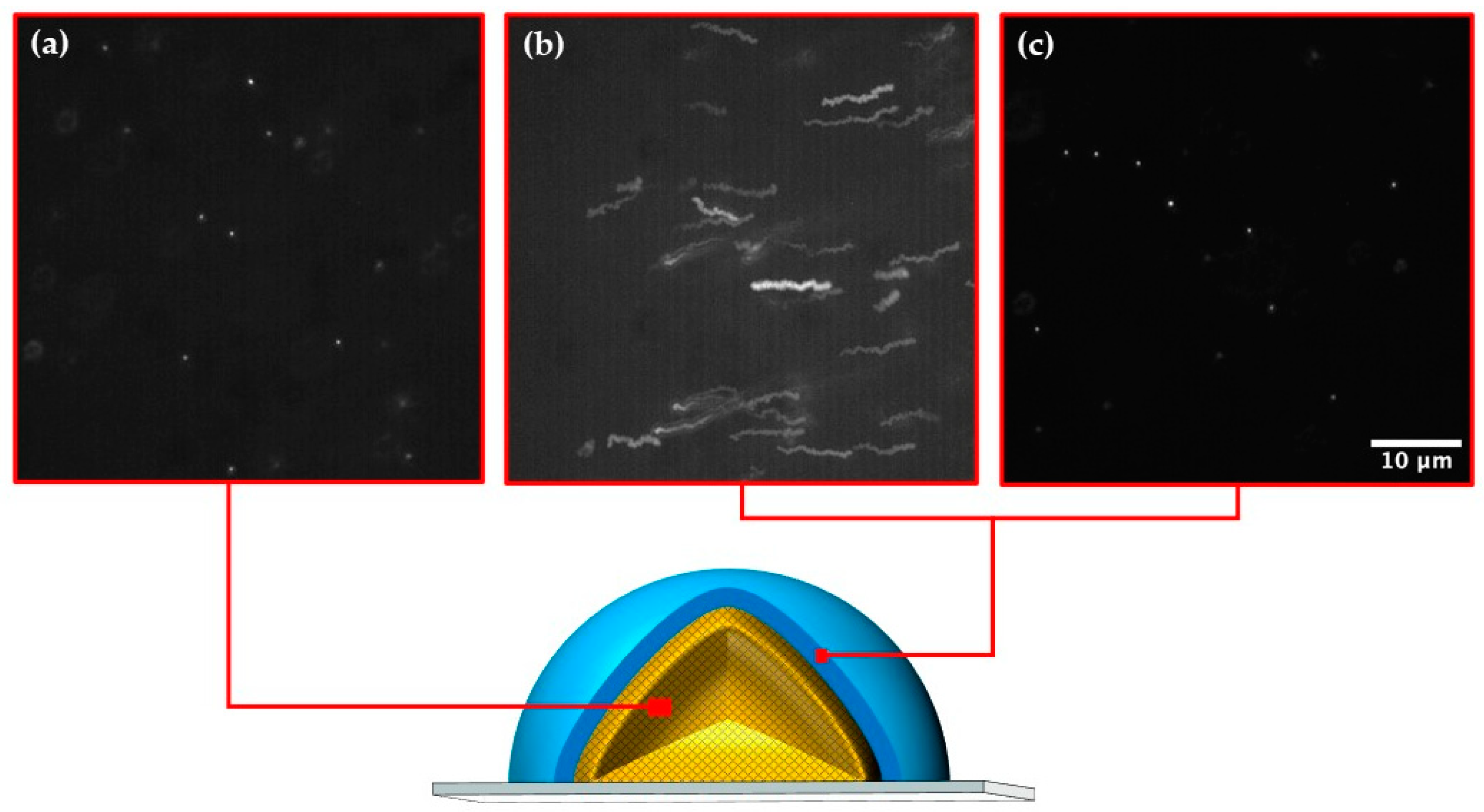 Molecules 27 04013 g004