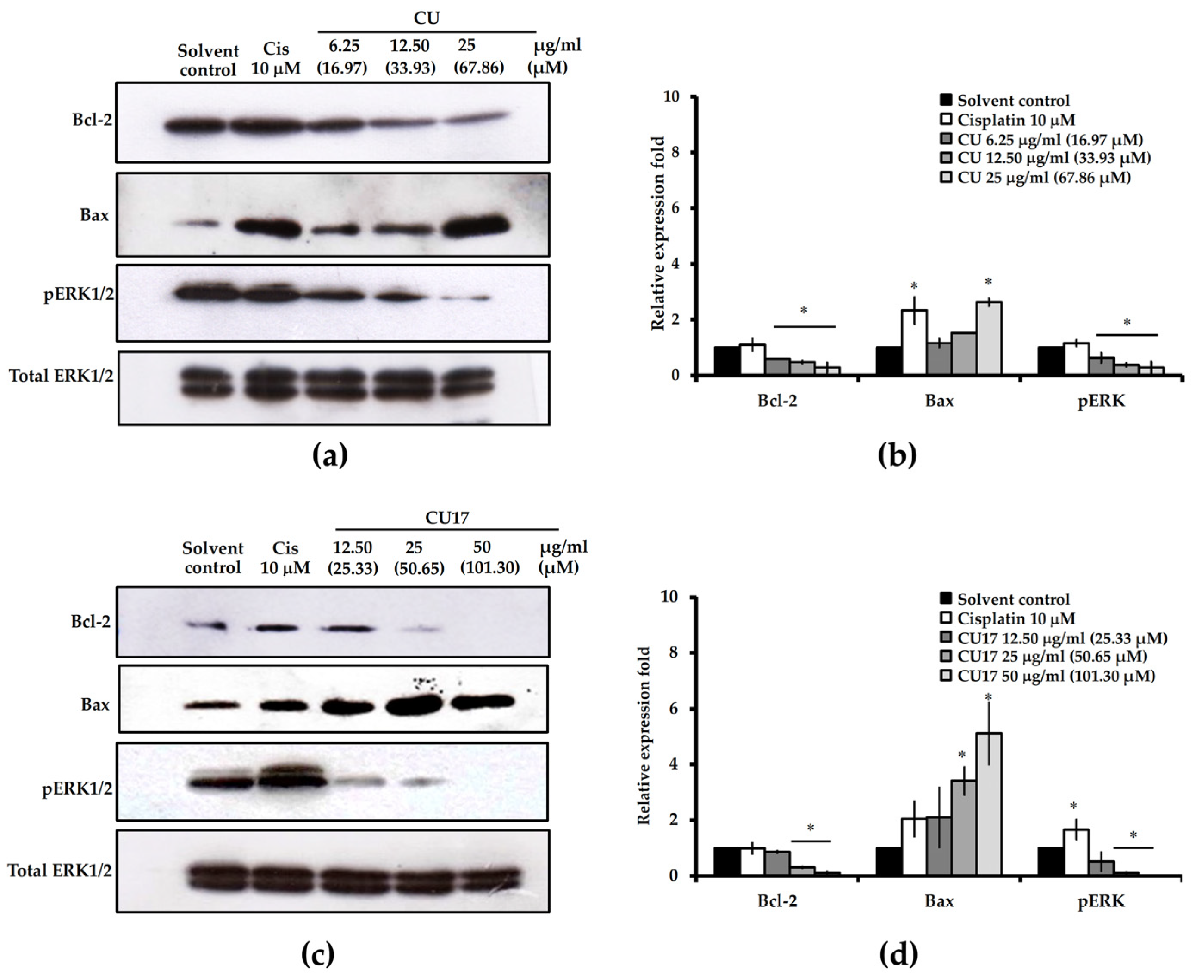 Molecules 27 04014 g008
