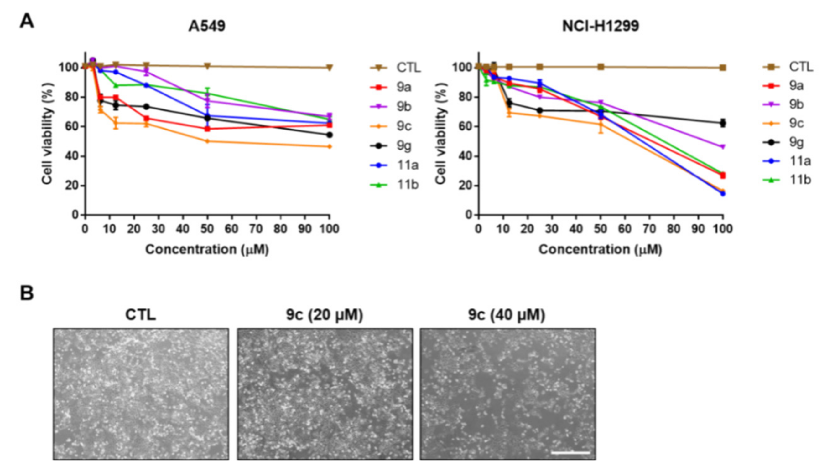 Molecules 27 04016 g003