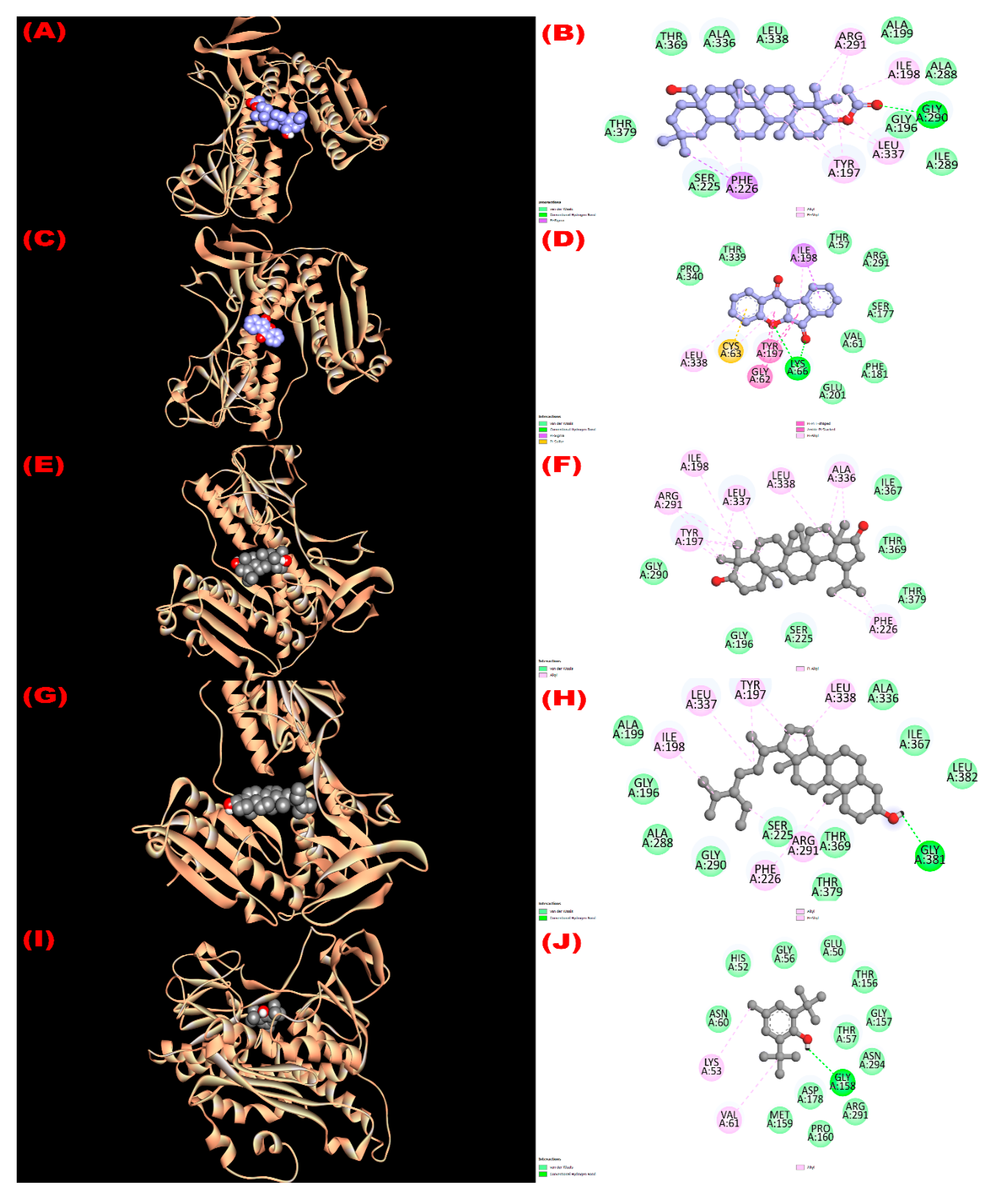 Molecules 27 04024 g002 Molecules 27 04024 g002