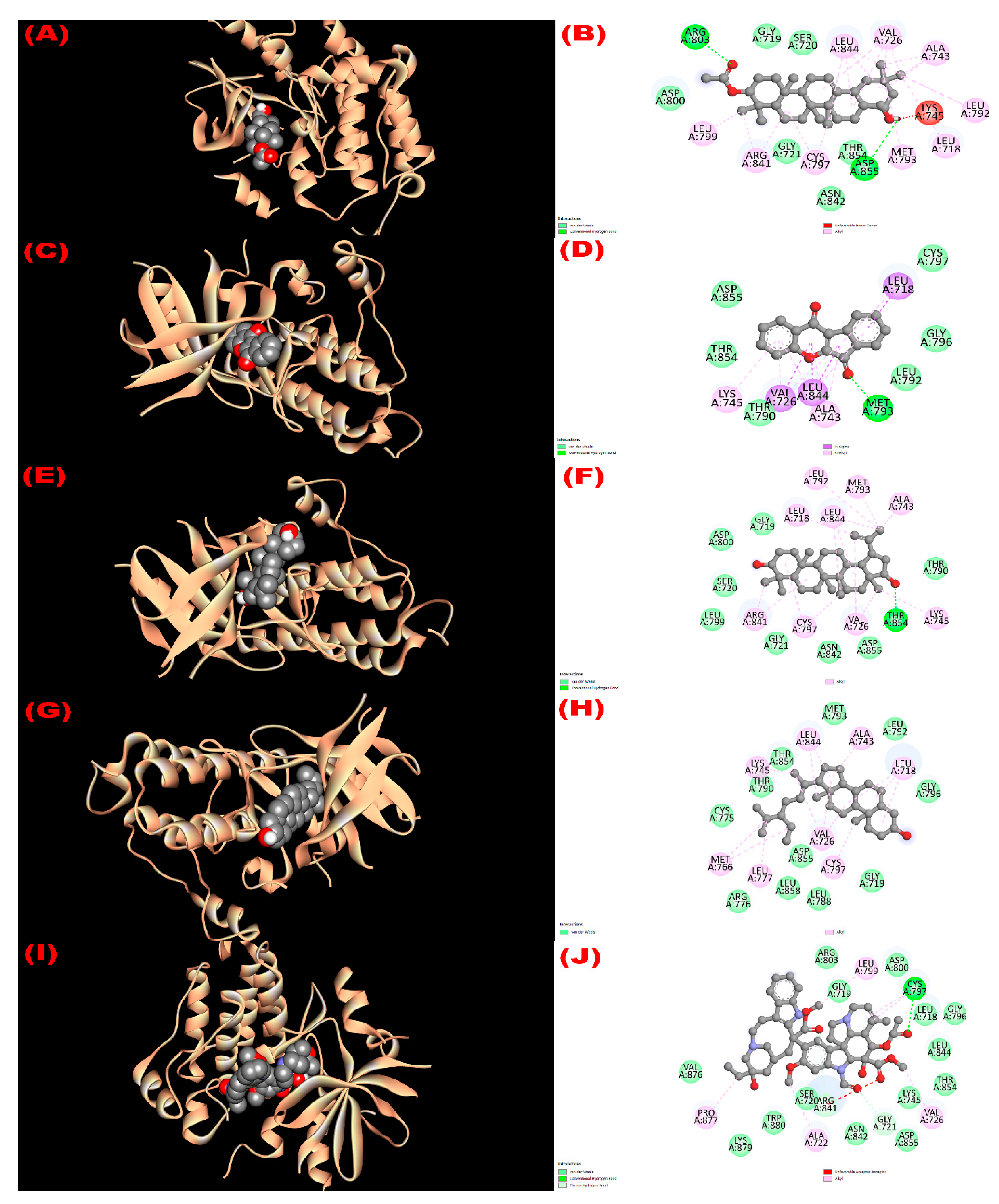 Molecules 27 04024 g003 Molecules 27 04024 g003