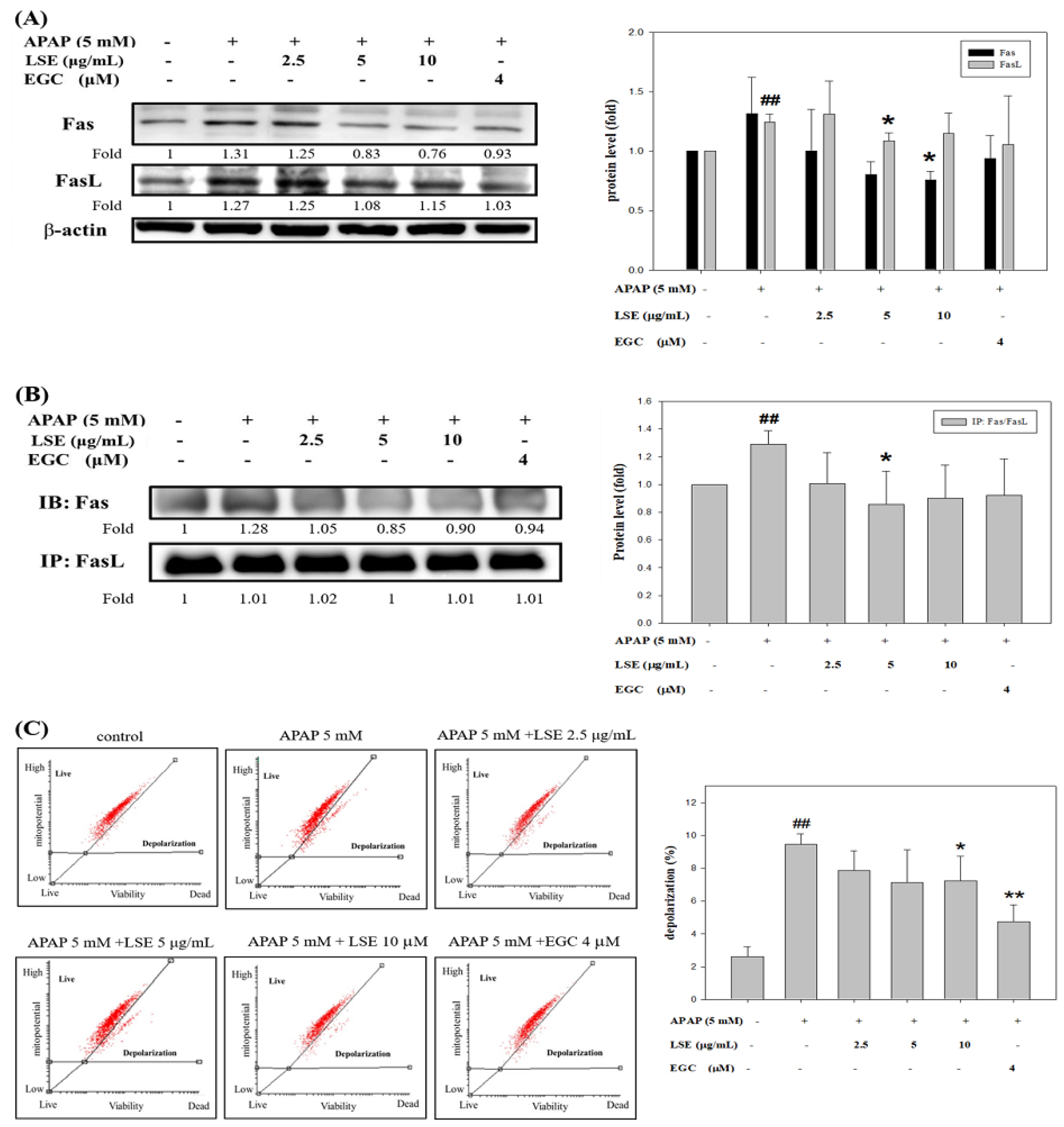 Molecules 27 04030 g003a