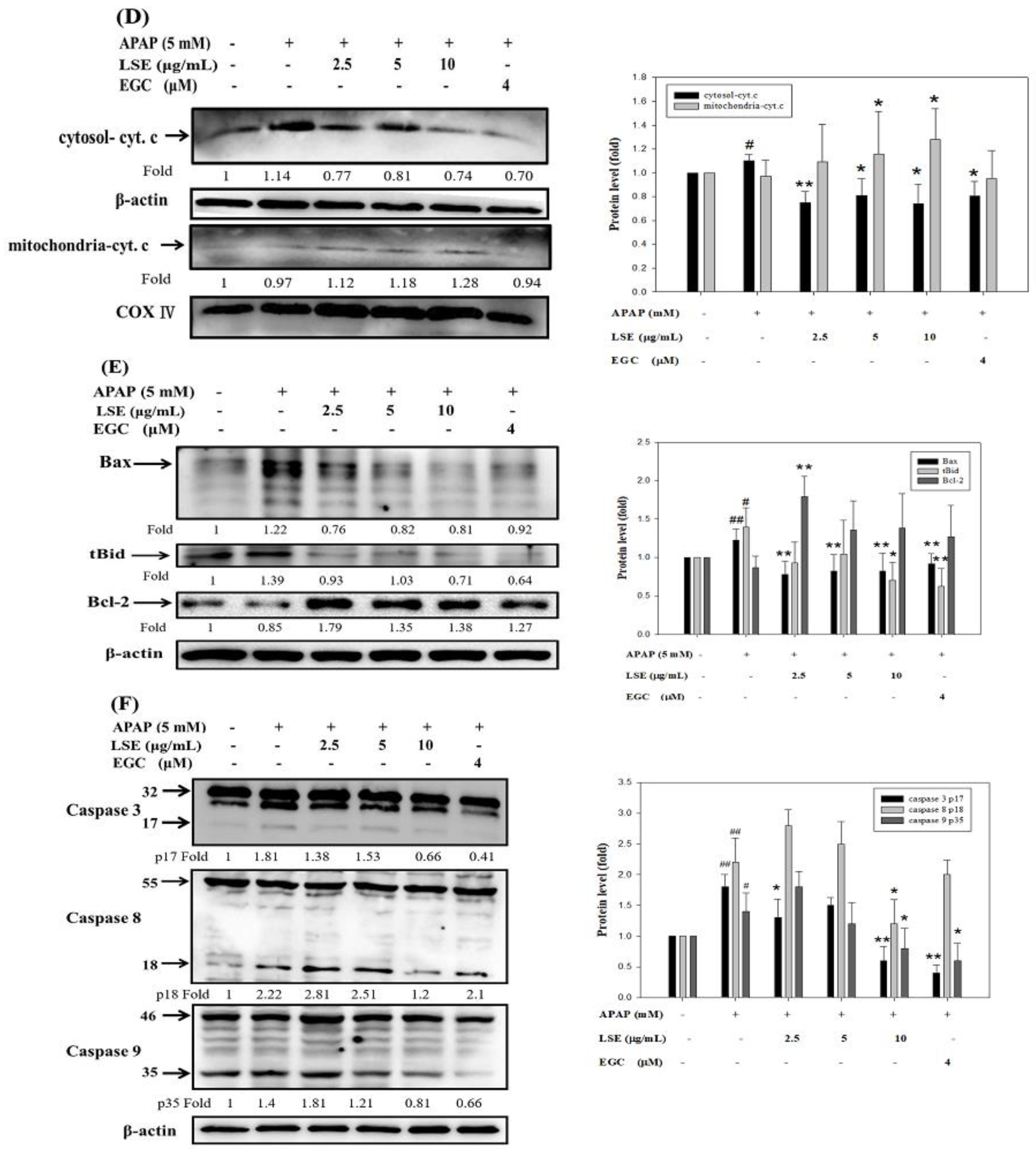 Molecules 27 04030 g003b