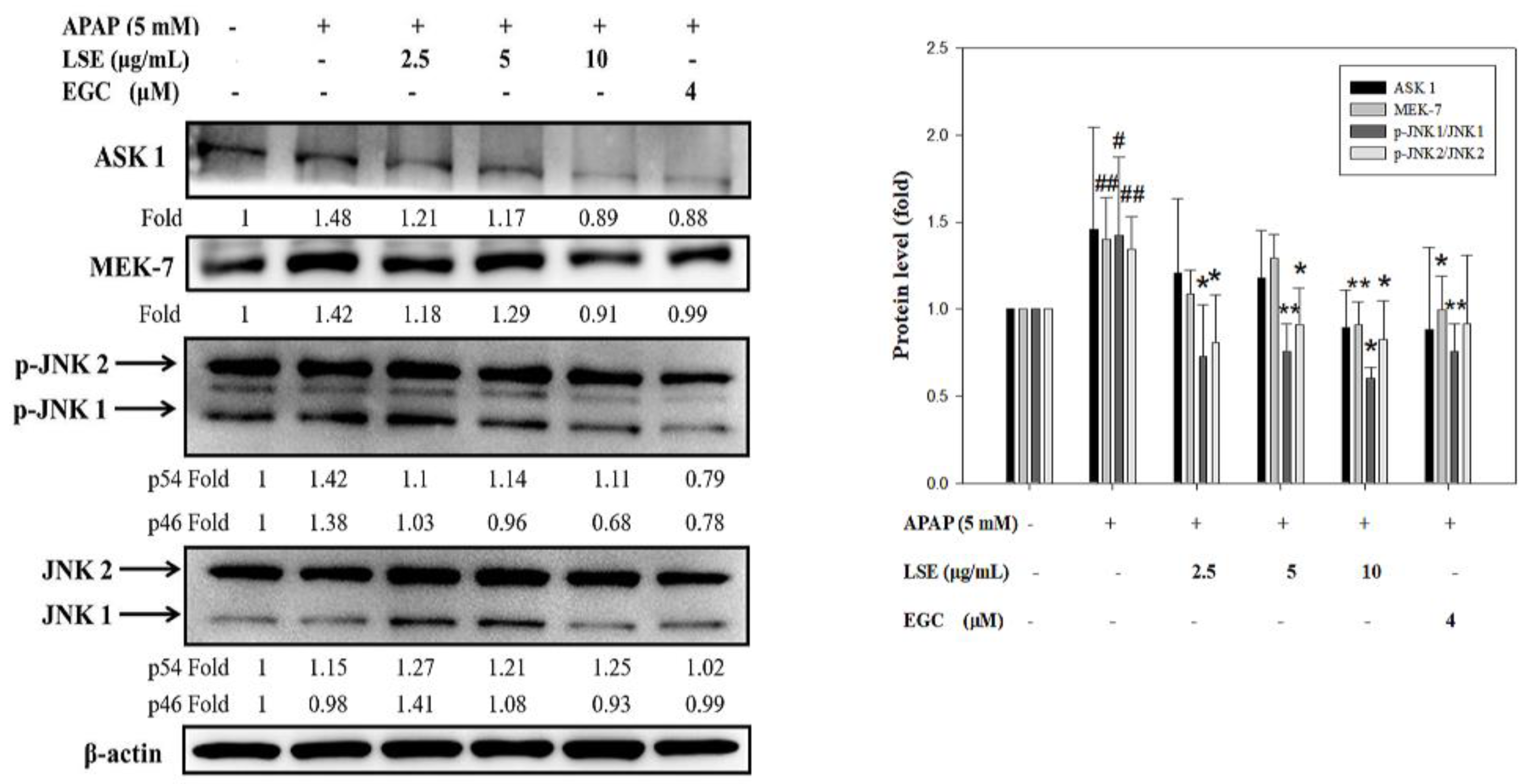 Molecules 27 04030 g004