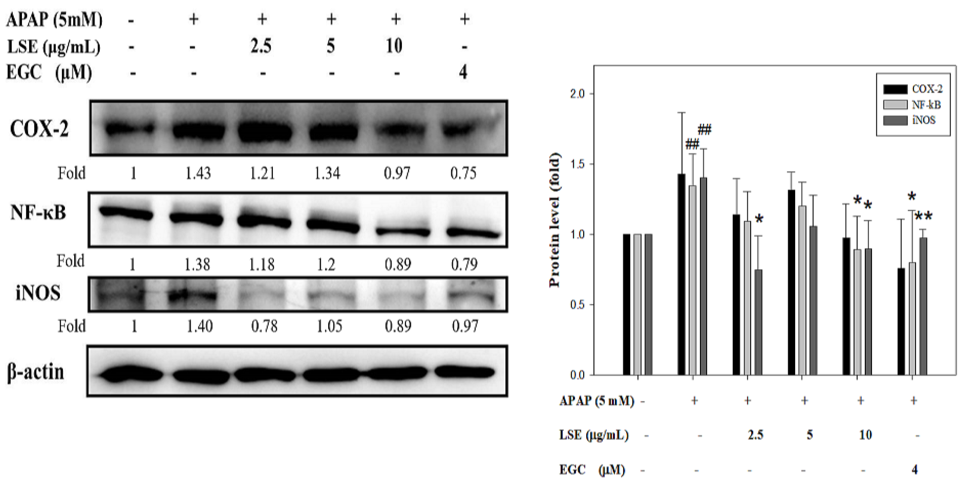 Molecules 27 04030 g005