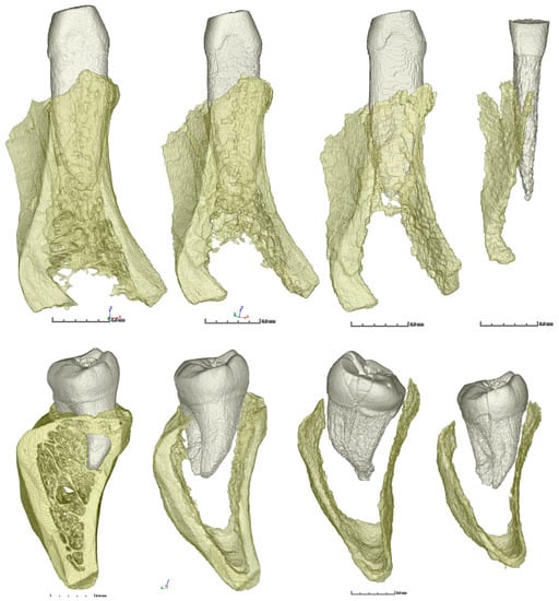 Molecules 27 04035 g0a1a Molecules 27 04035 g0a1a