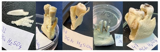 Molecules 27 04035 g0a2