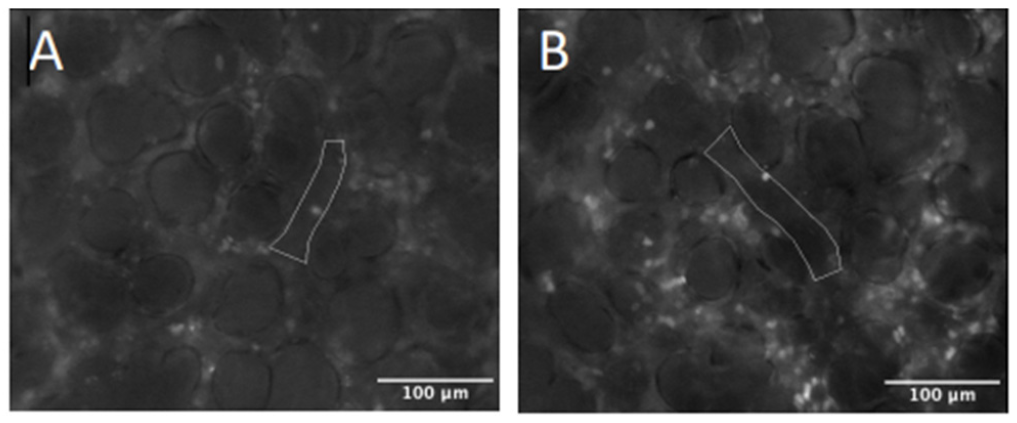 Molecules 27 04036 g004