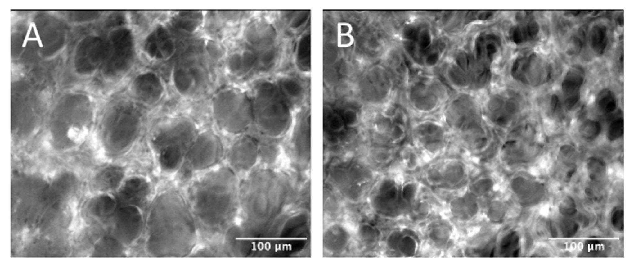 Molecules 27 04036 g005