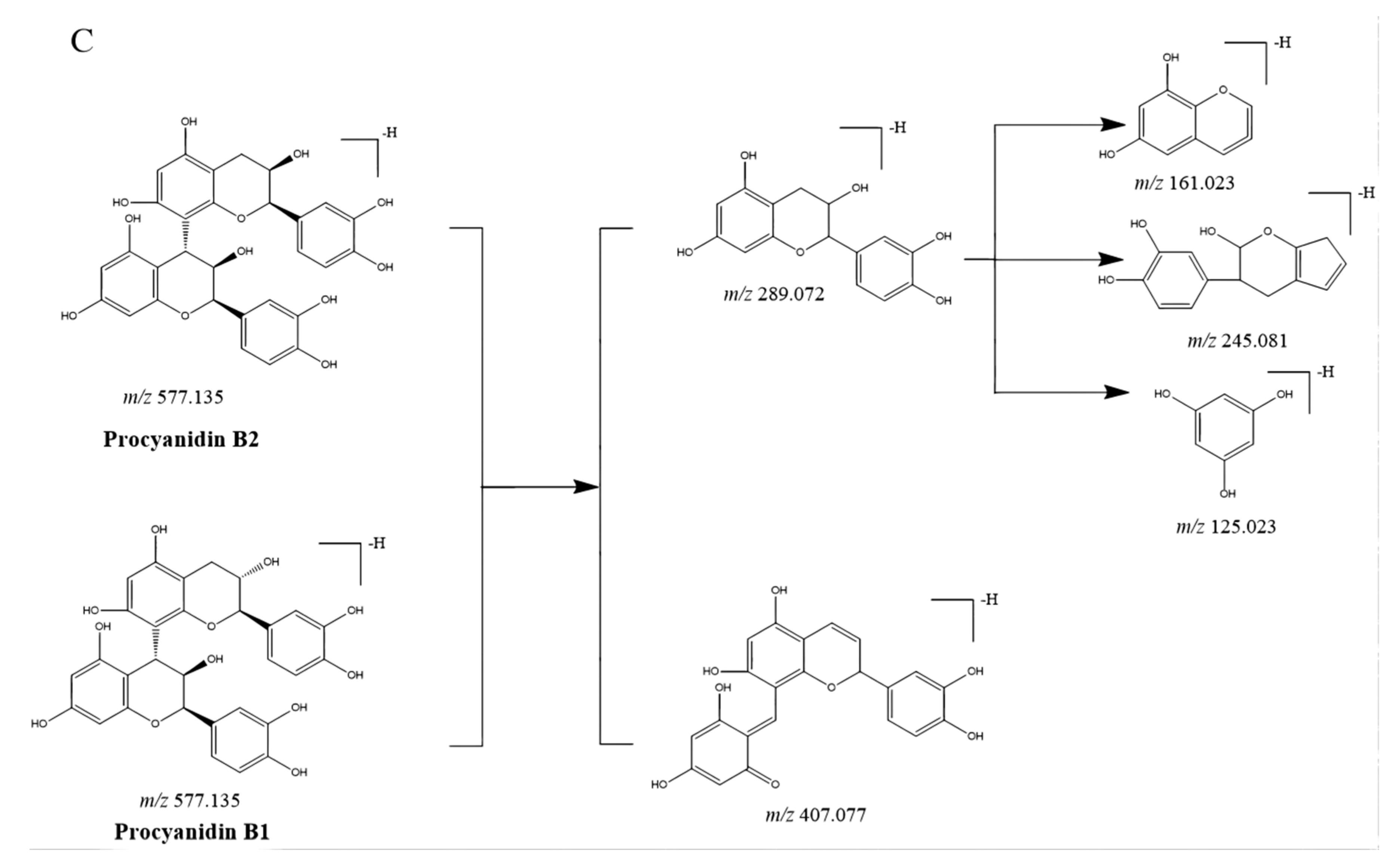 Molecules 27 04038 g002b