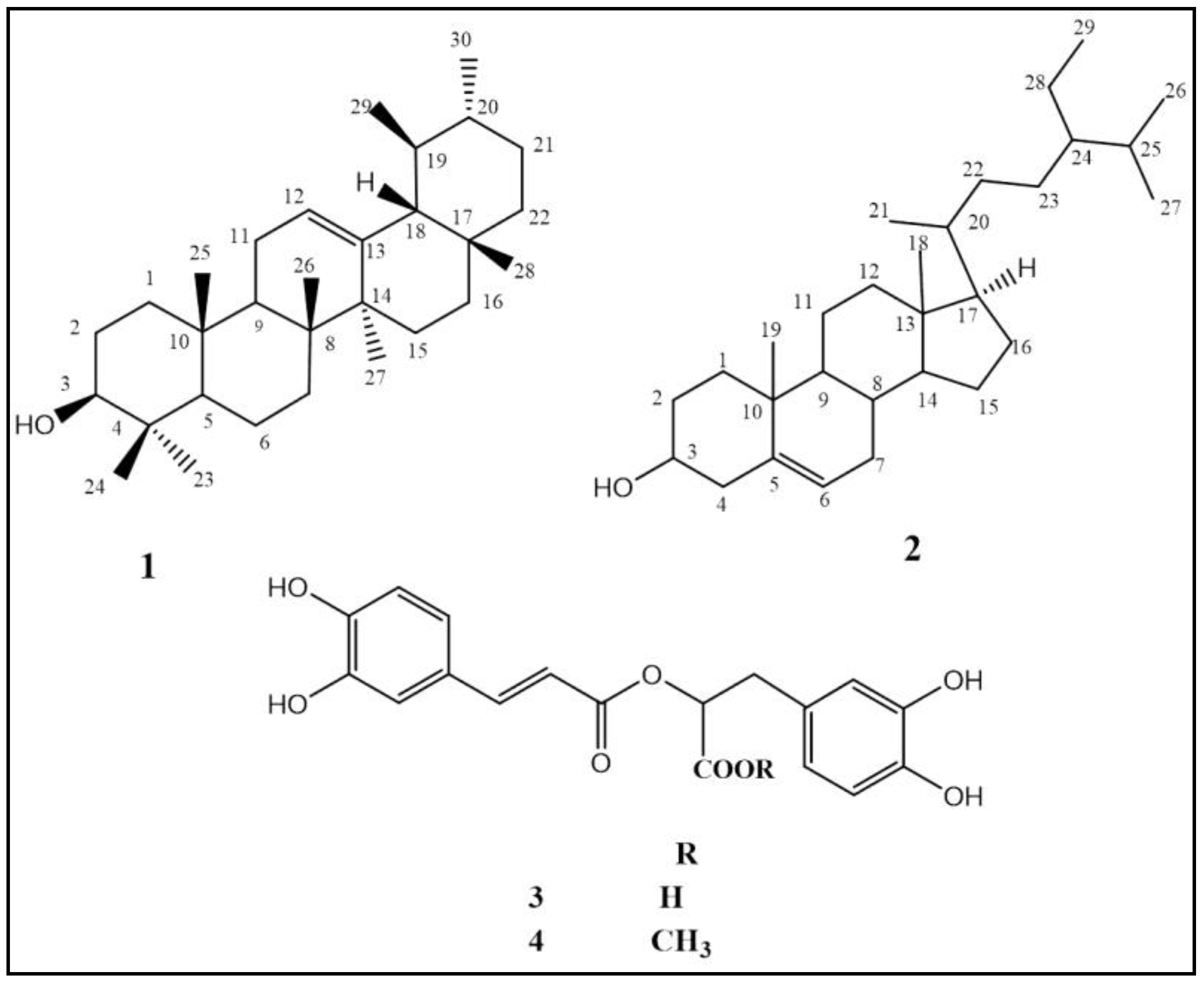 Molecules 27 04039 g001