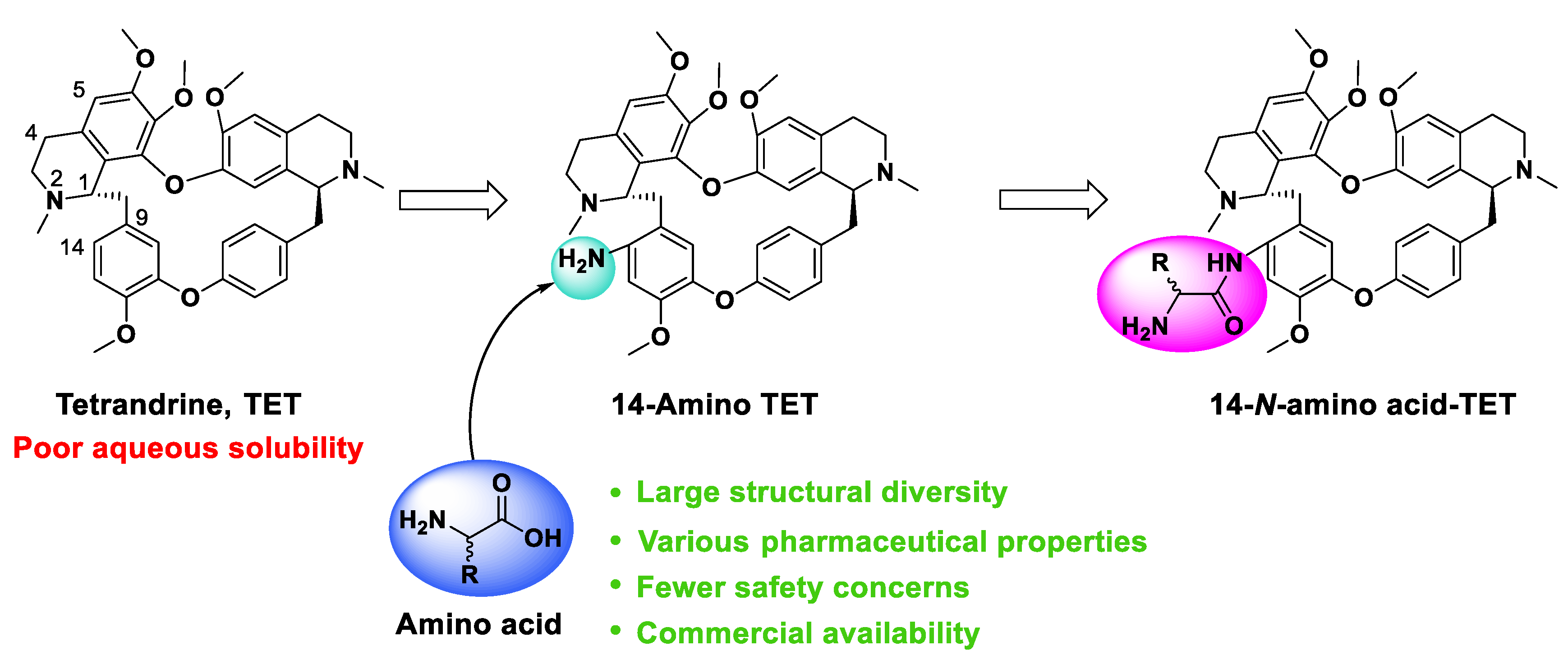 Molecules 27 04040 g001