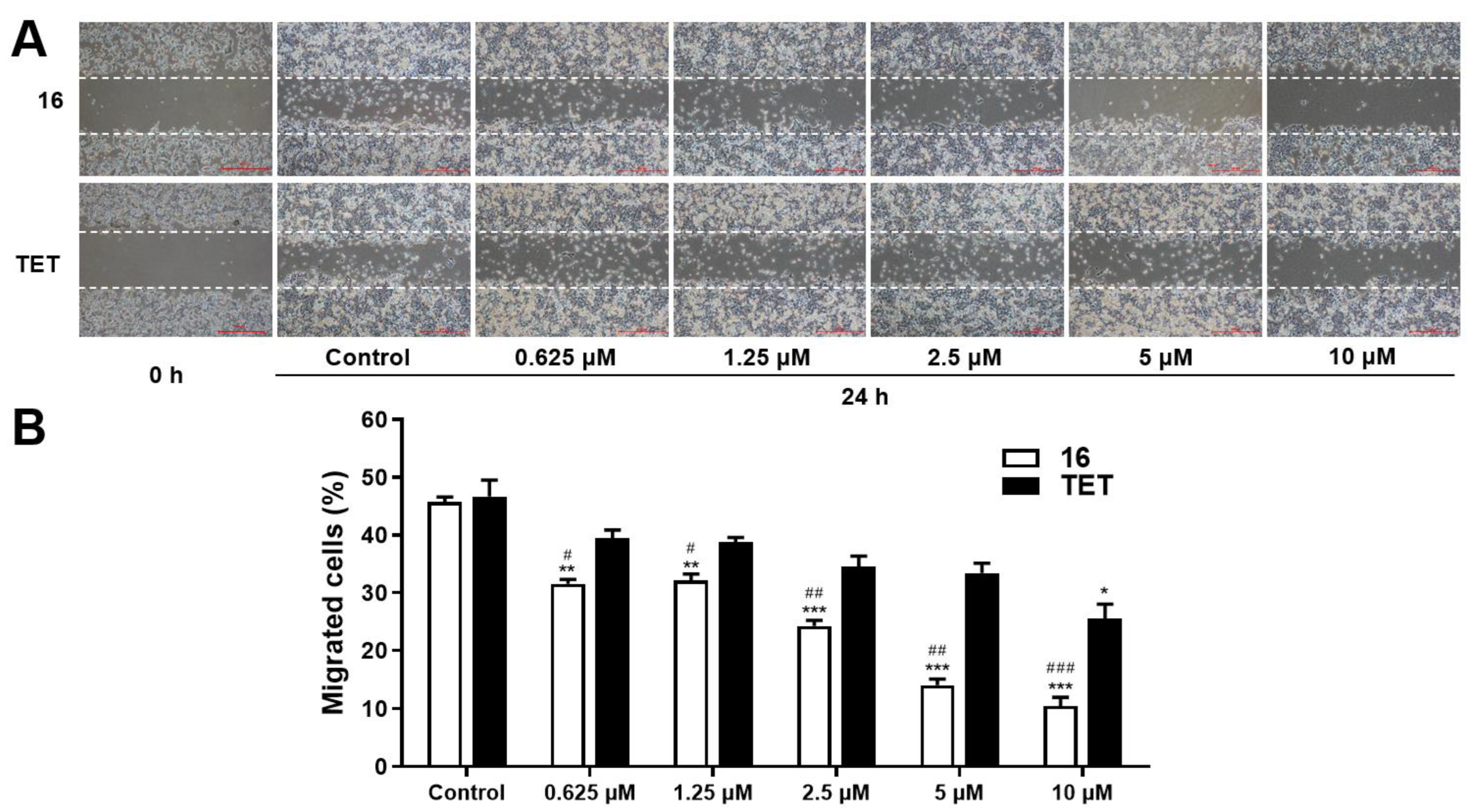 Molecules 27 04040 g004