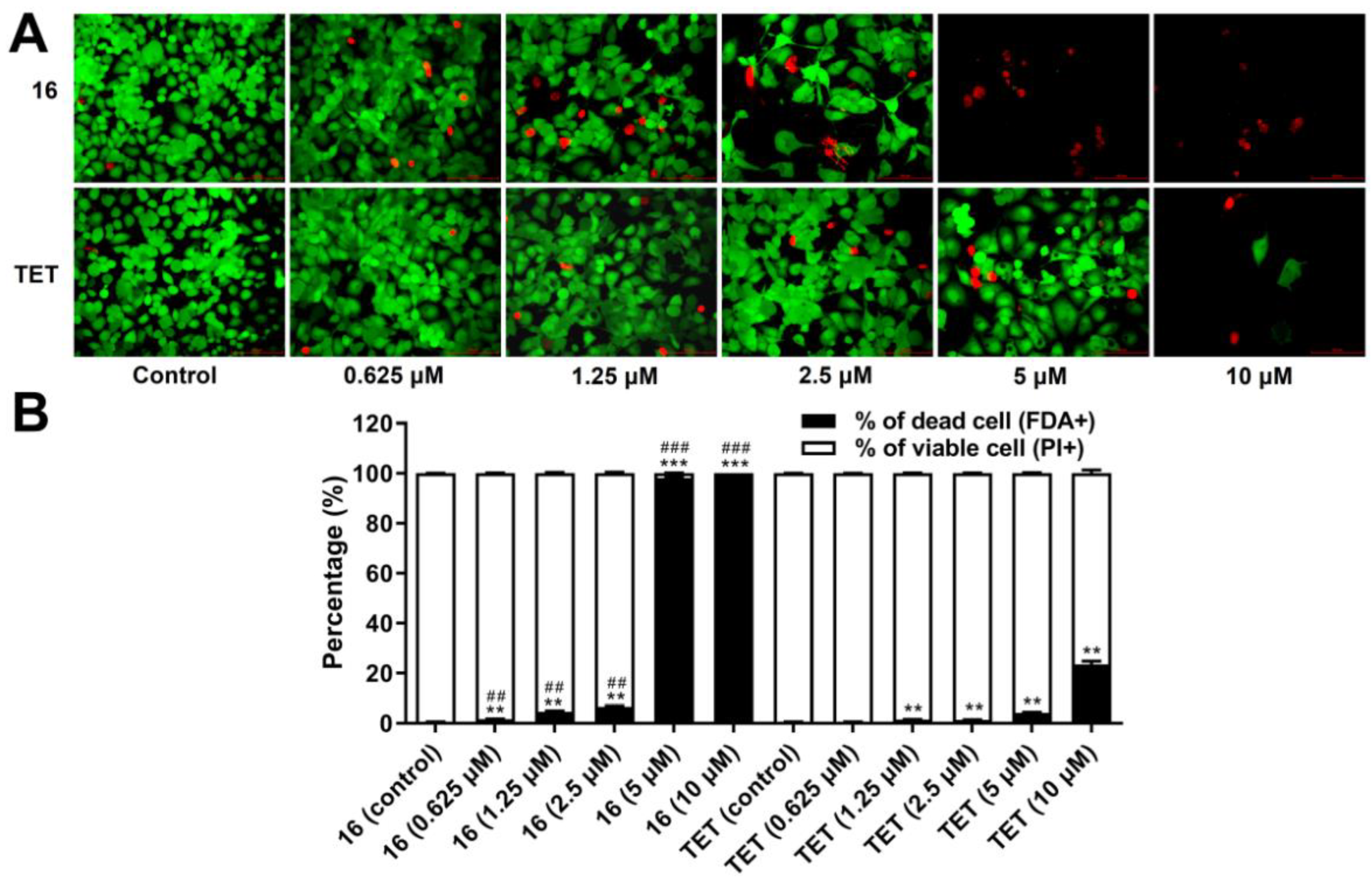 Molecules 27 04040 g011