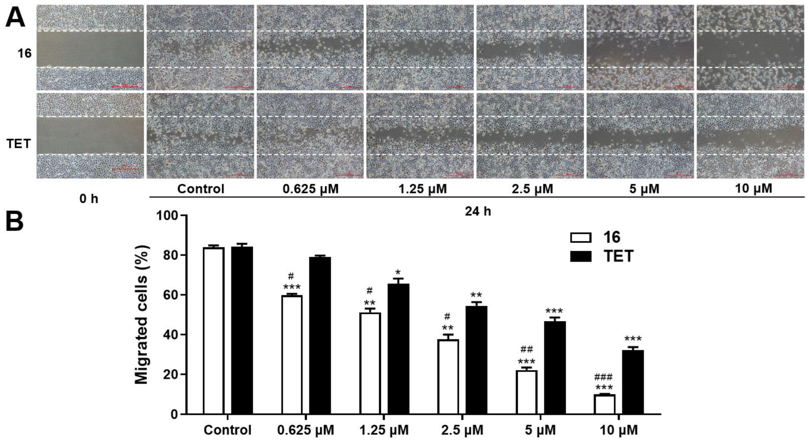 Molecules 27 04040 g012