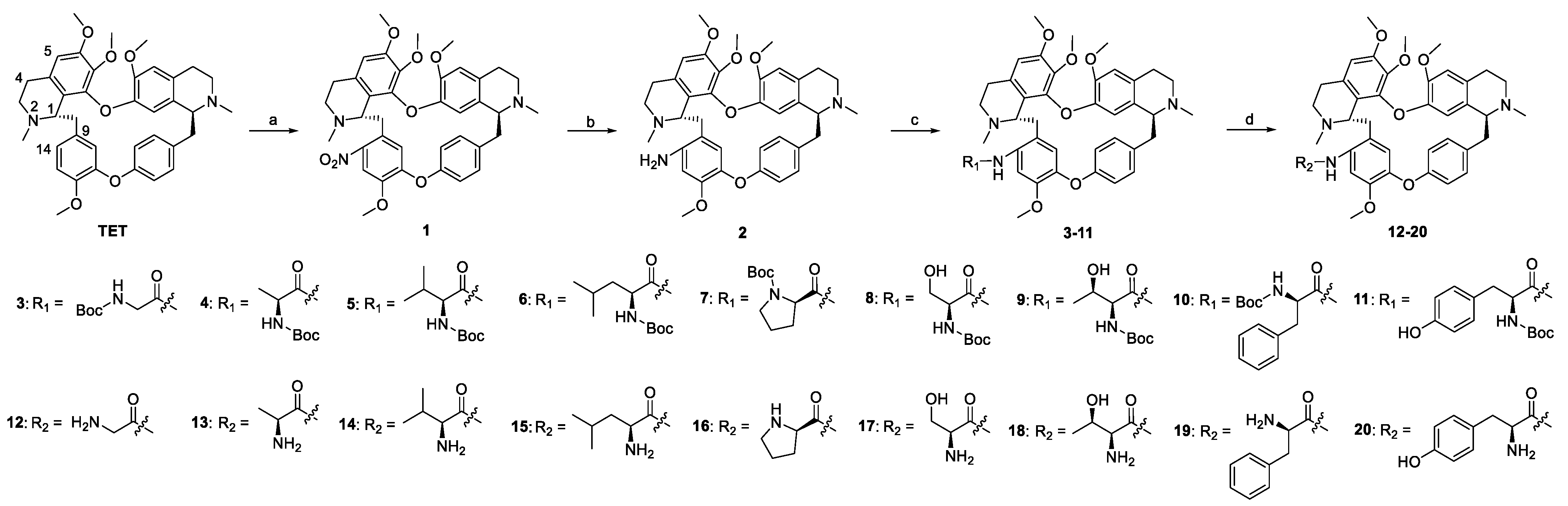 Molecules 27 04040 sch001