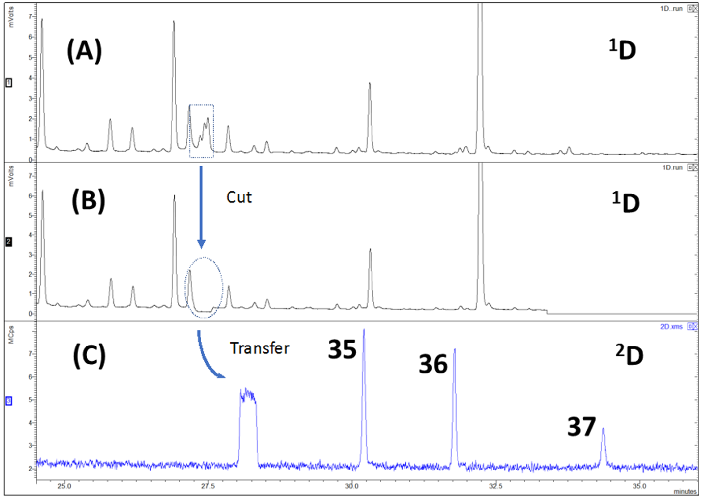 Molecules 27 04042 g003