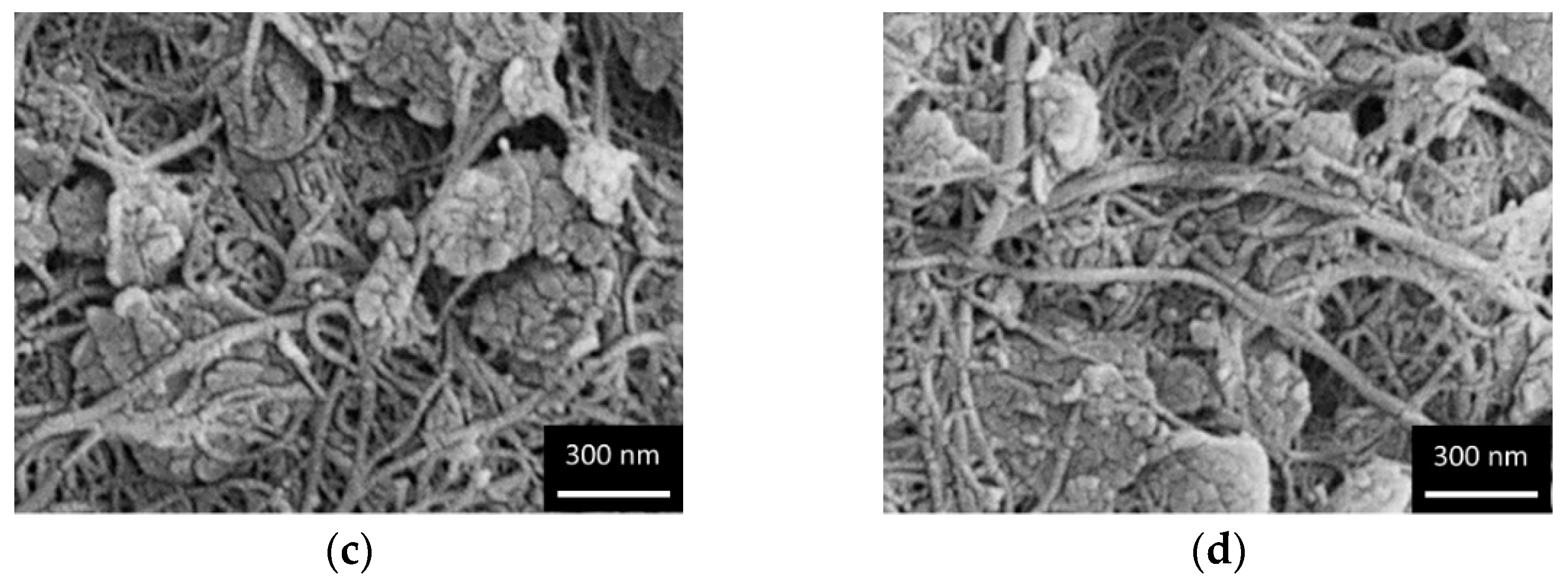 Molecules 27 04044 g002b