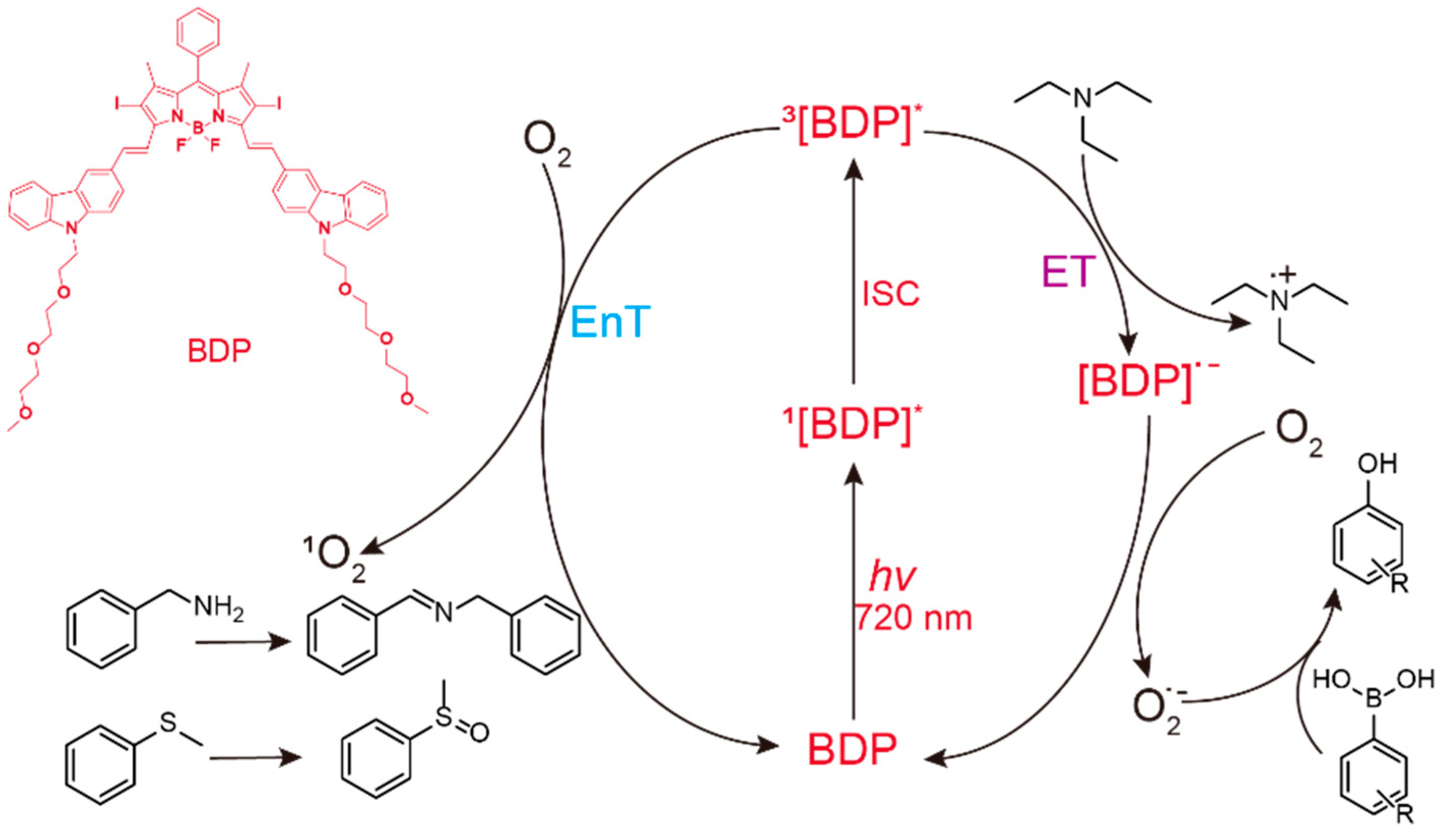 Molecules 27 04047 g001