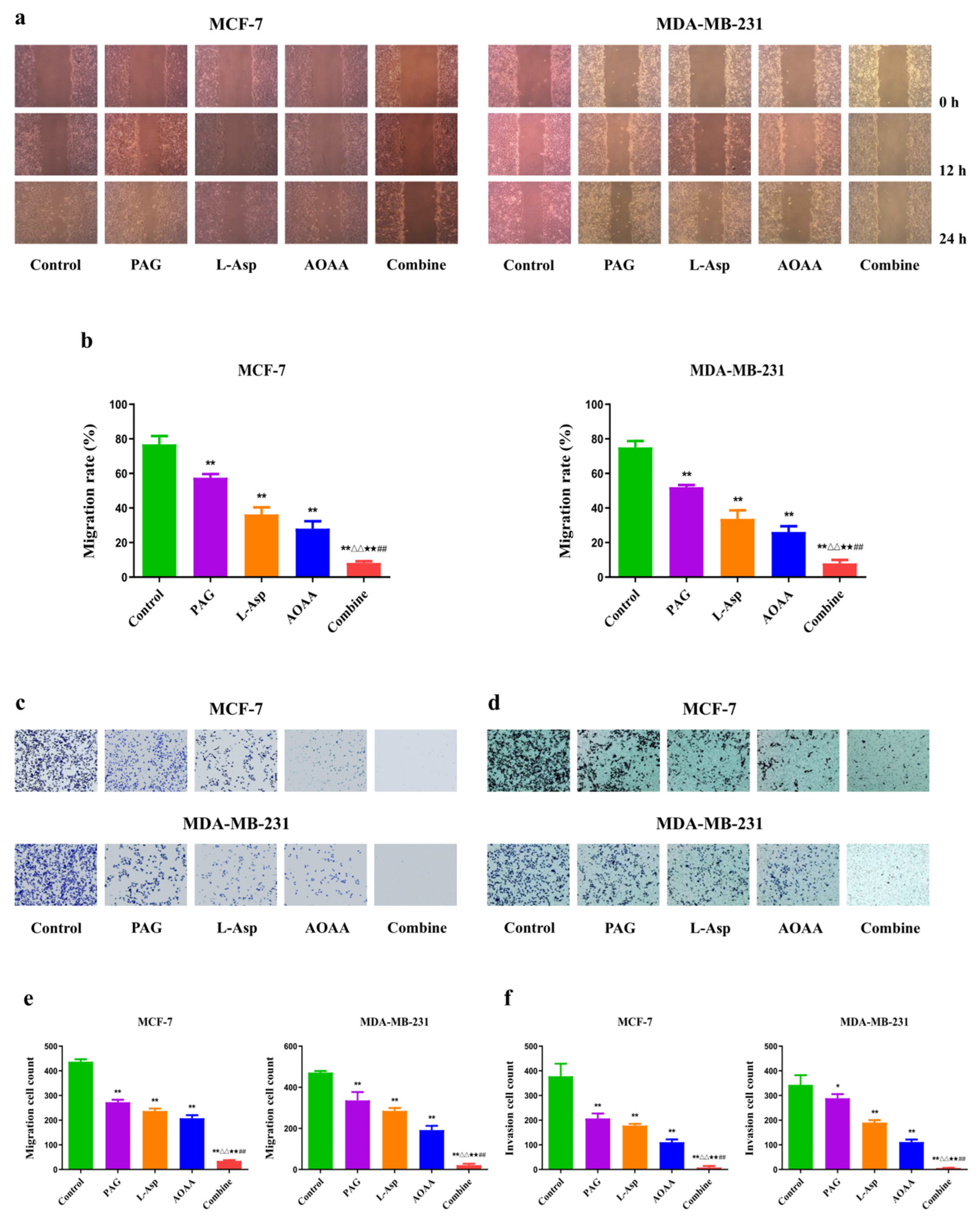 Molecules 27 04049 g002