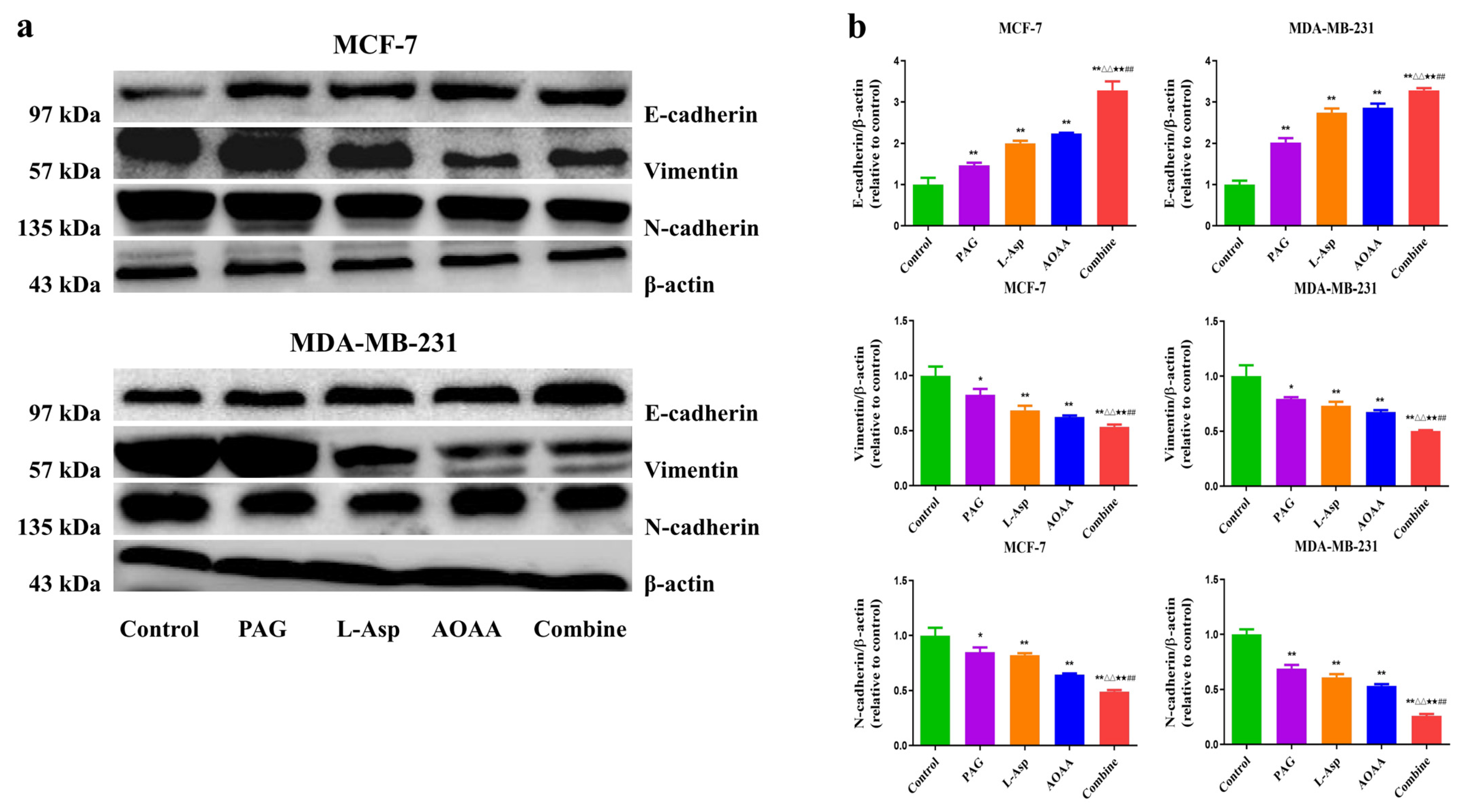 Molecules 27 04049 g004
