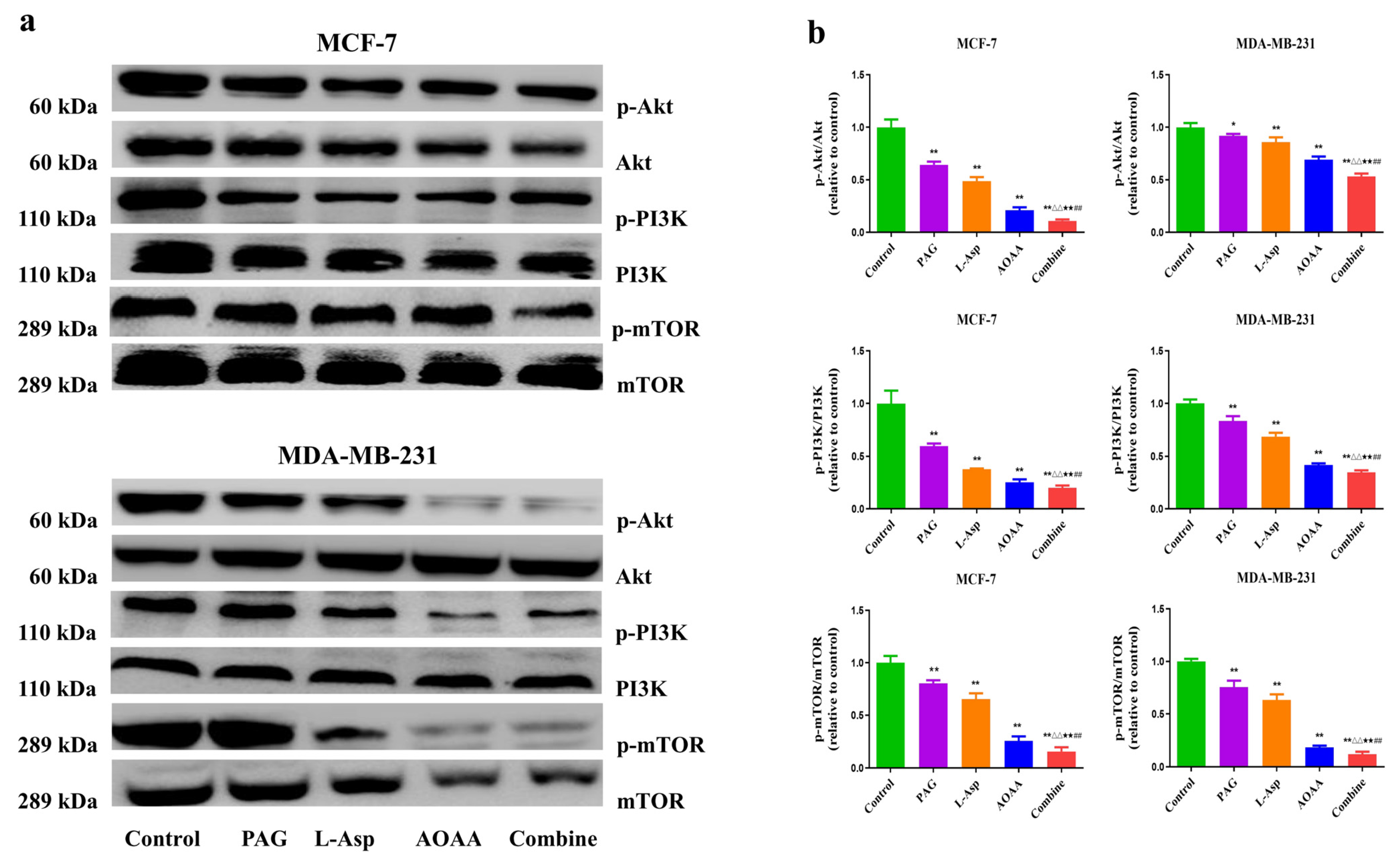 Molecules 27 04049 g005