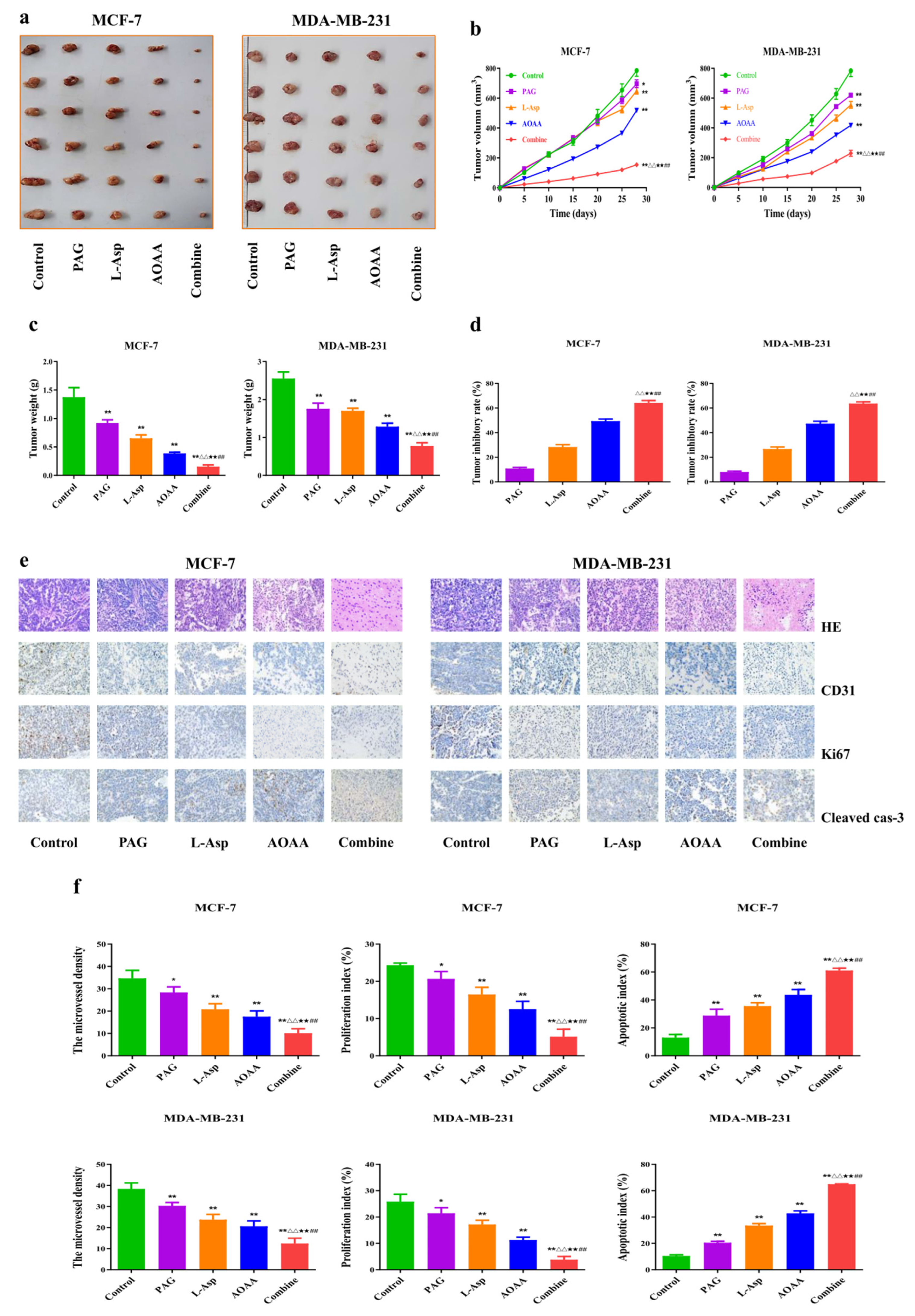 Molecules 27 04049 g006