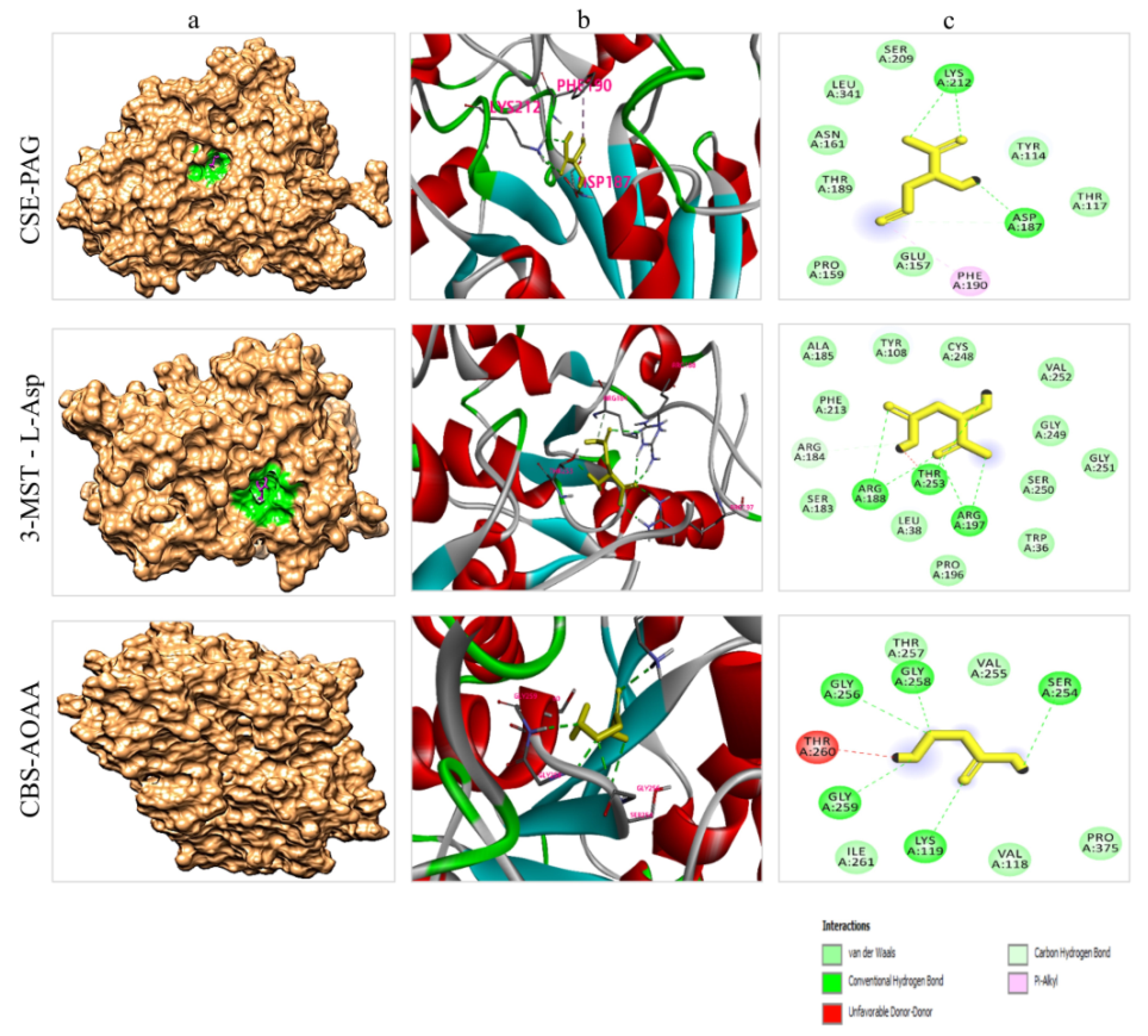 Molecules 27 04049 g007