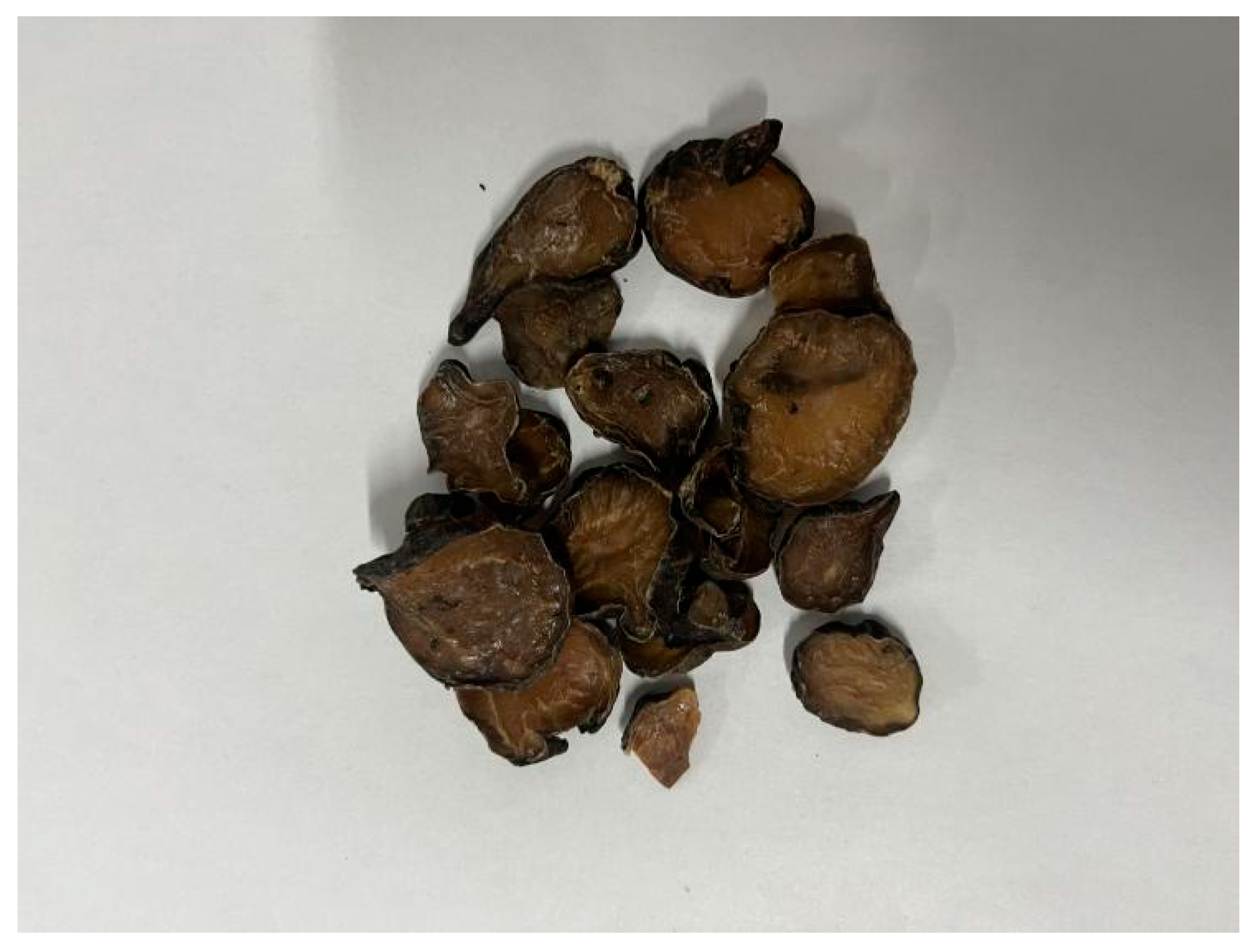 Molecules 27 04055 g001