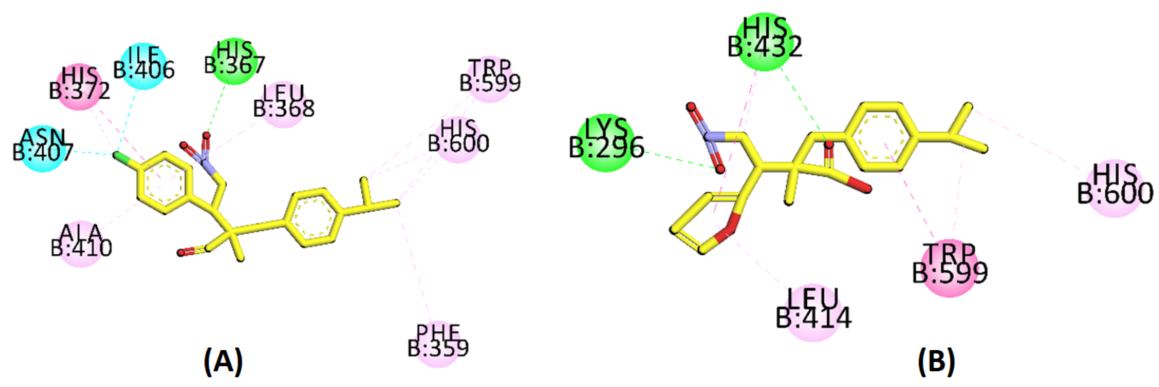Molecules 27 04068 g004