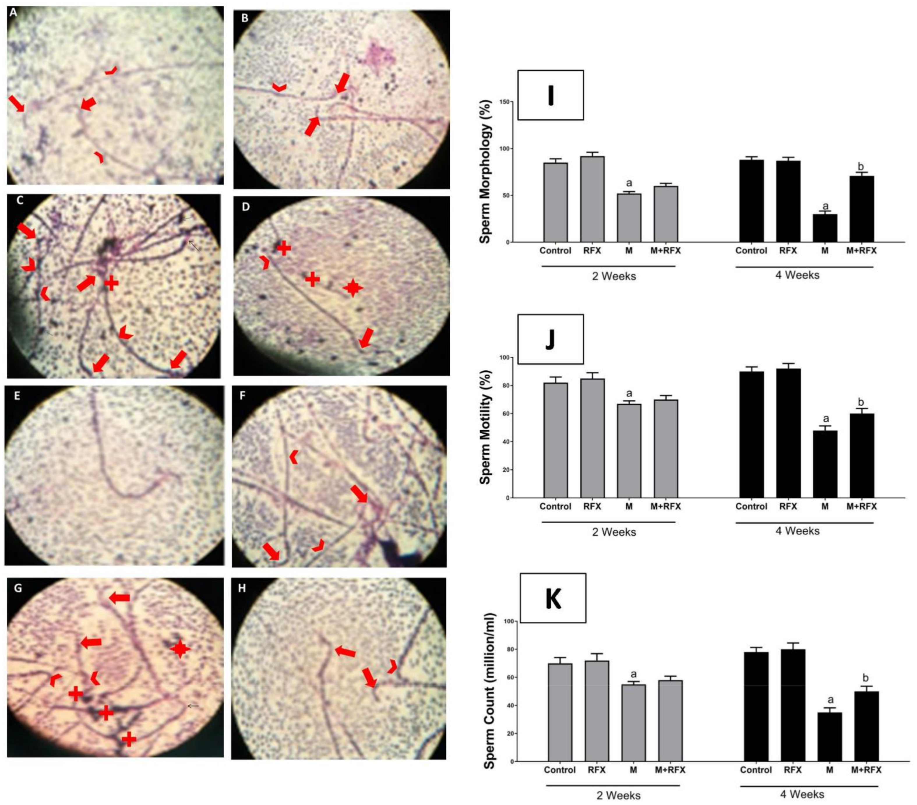 Molecules 27 04069 g002